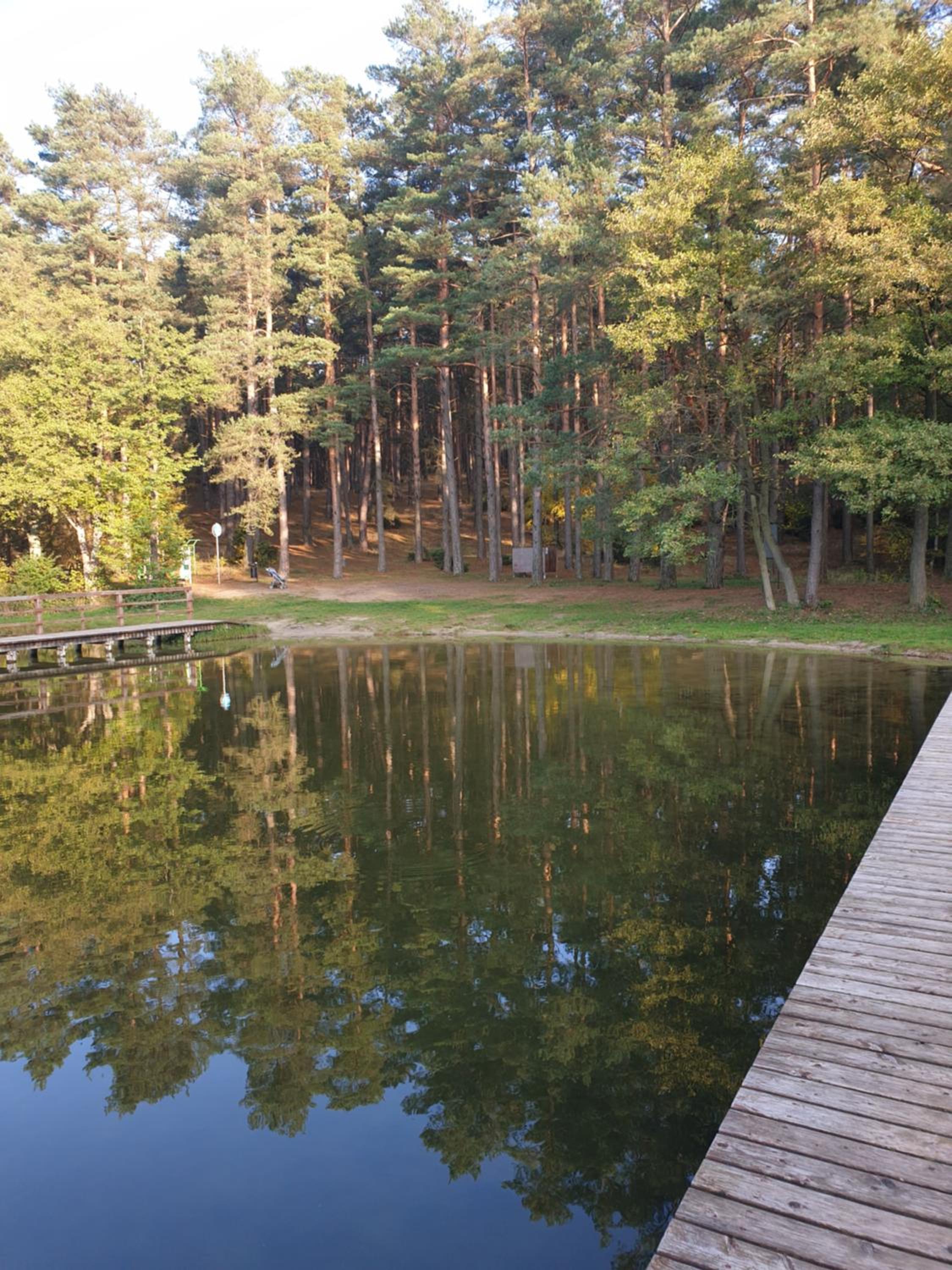 Leśny Azyl Bory Tucholskie view 5