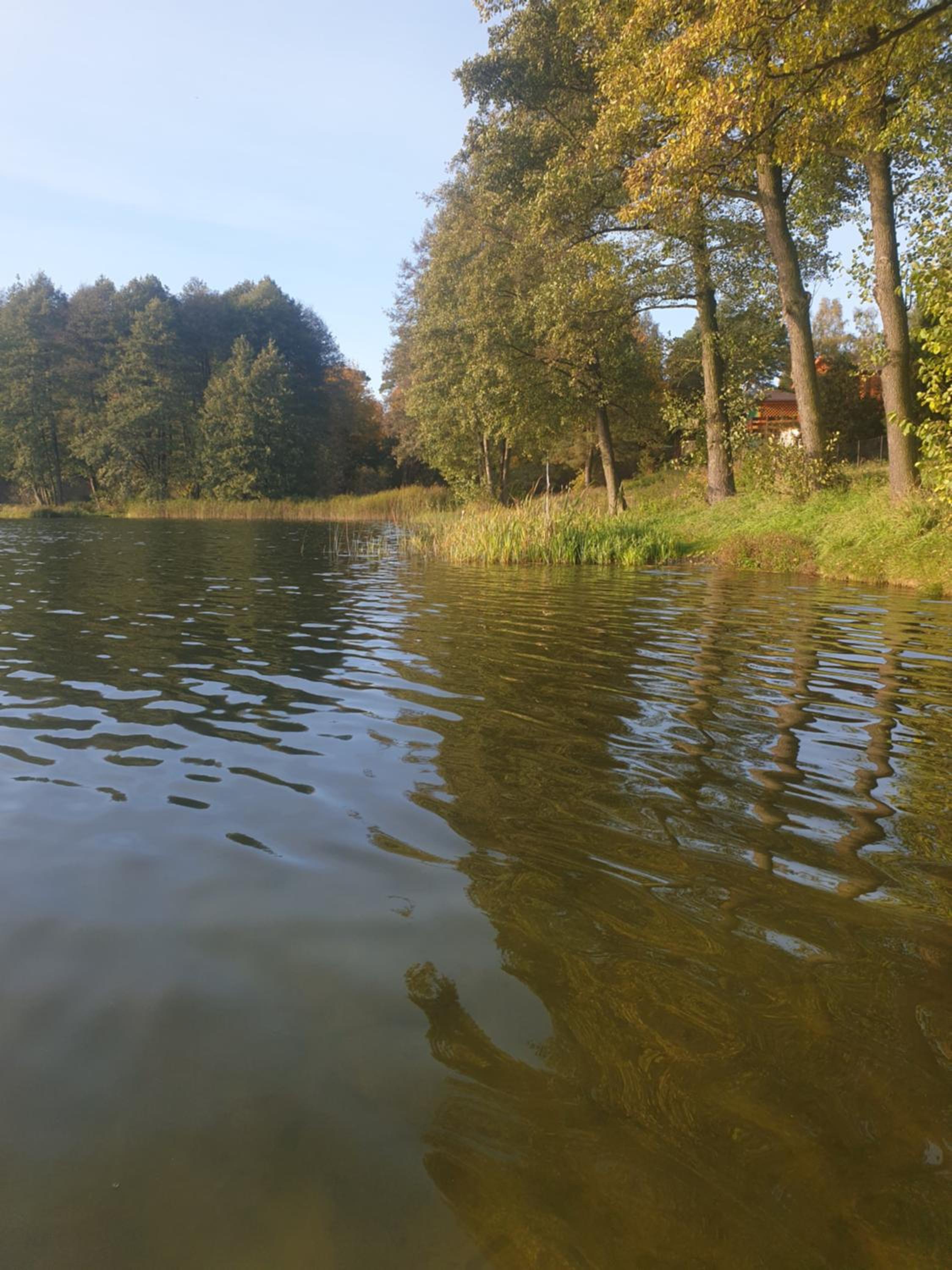 Leśny Azyl Bory Tucholskie view 2