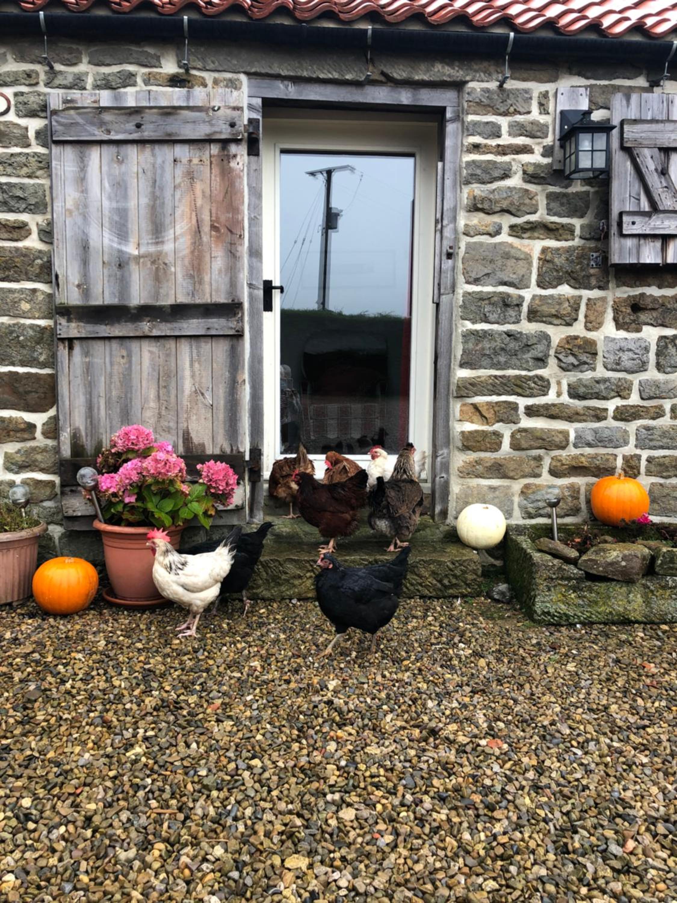 Folly Hall Farm