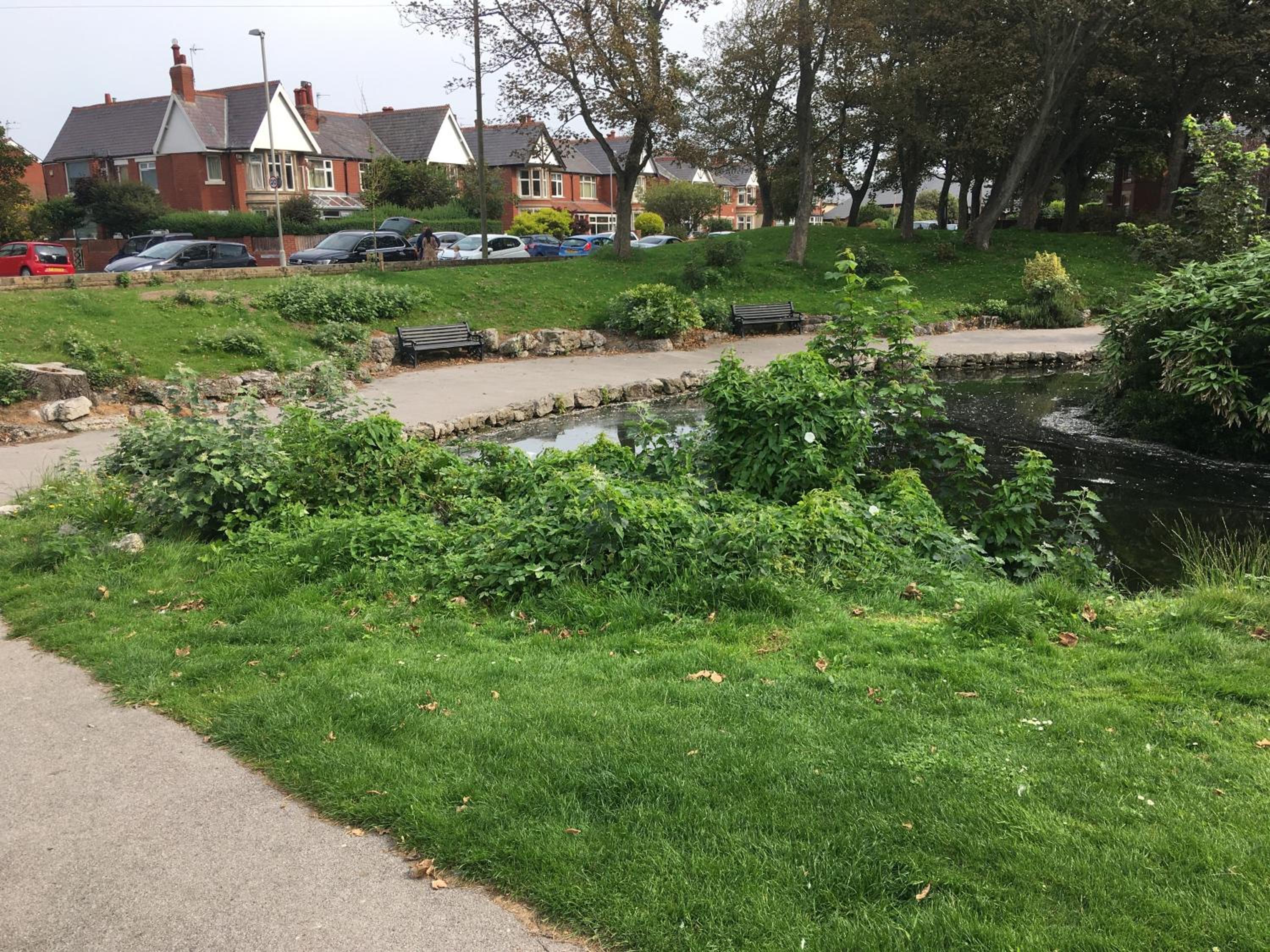 Photo 17