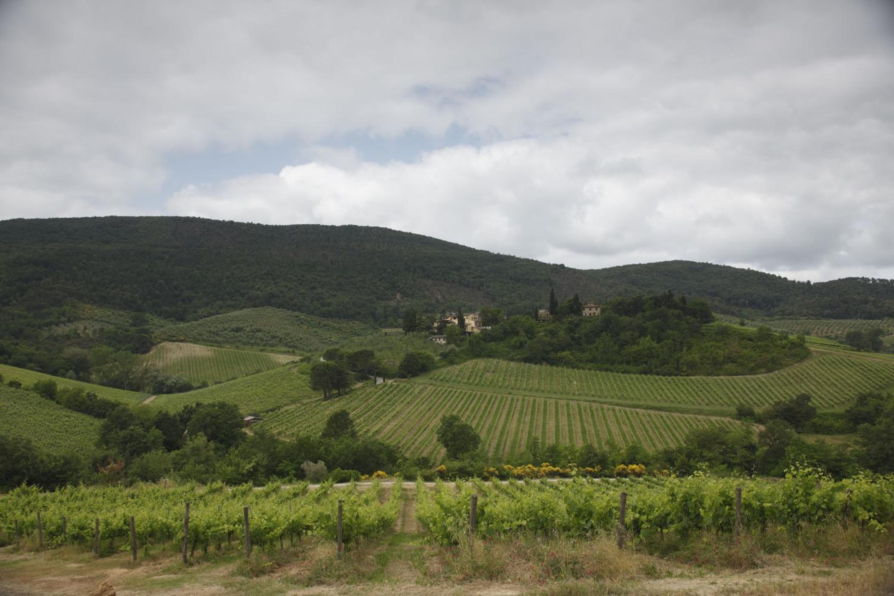 Podere Montese Country House view 2