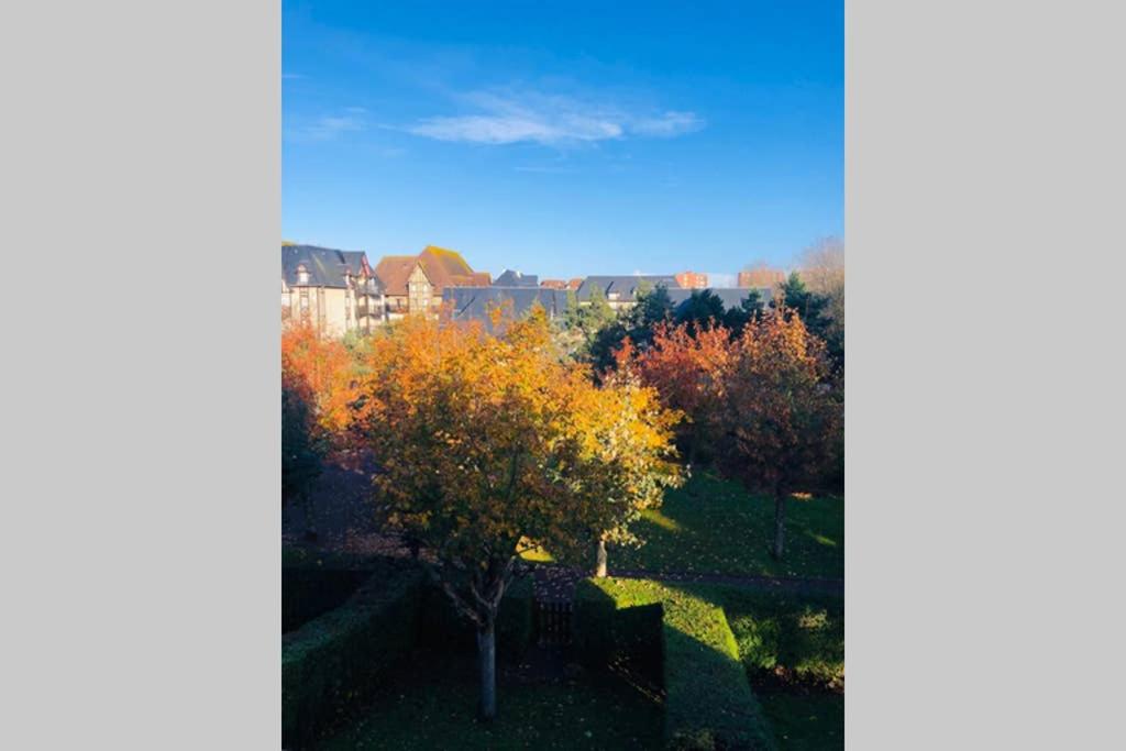 La petite madeleine de Proust view 4