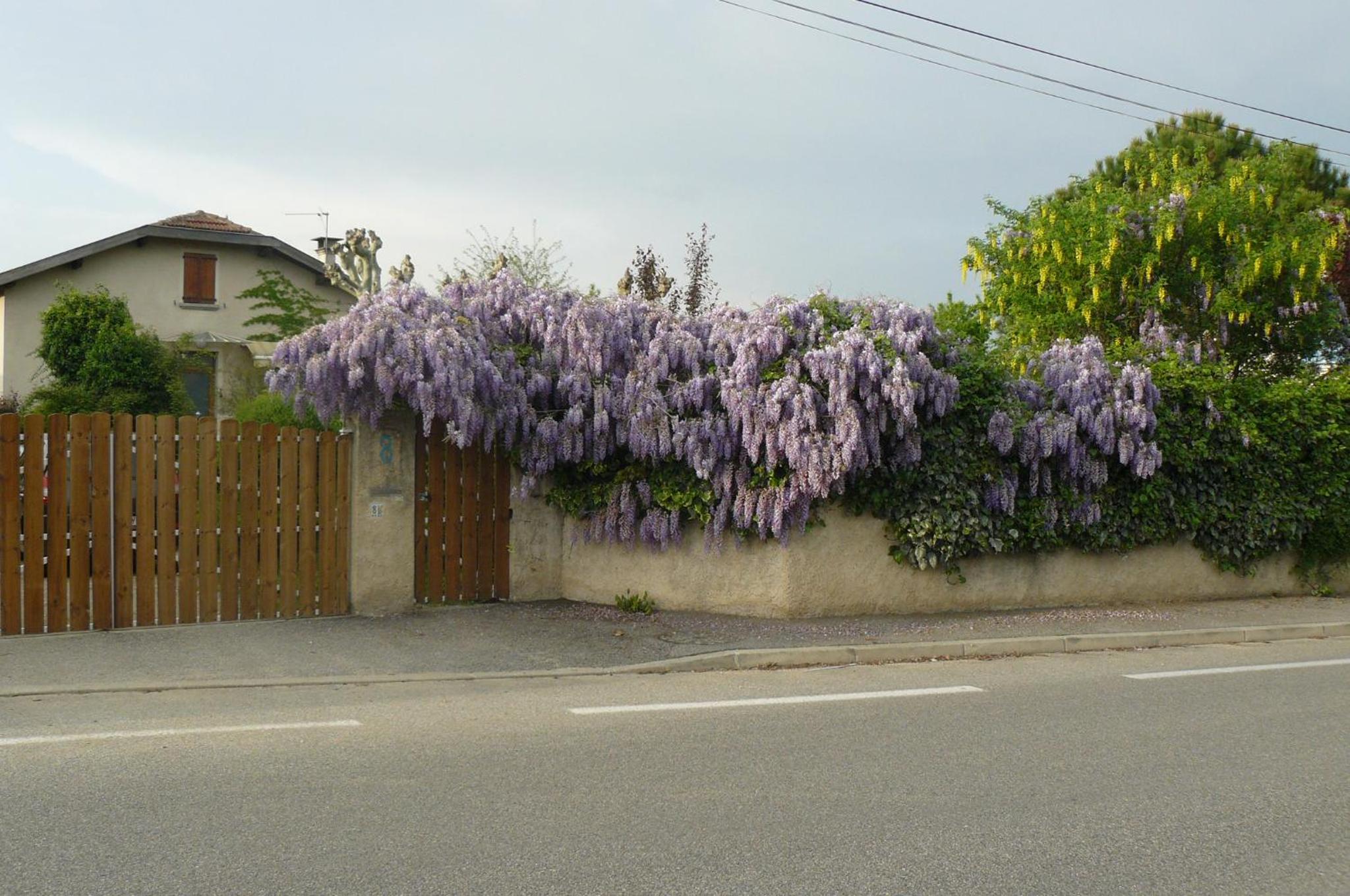 Photo 31