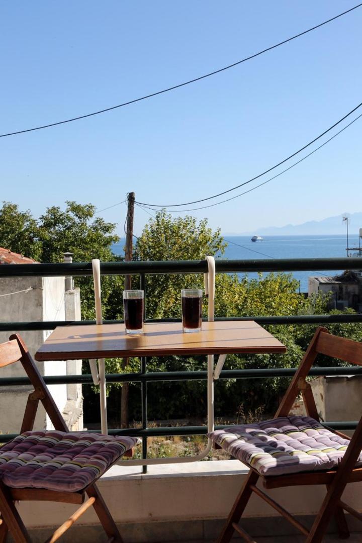 Sofia's Holiday House