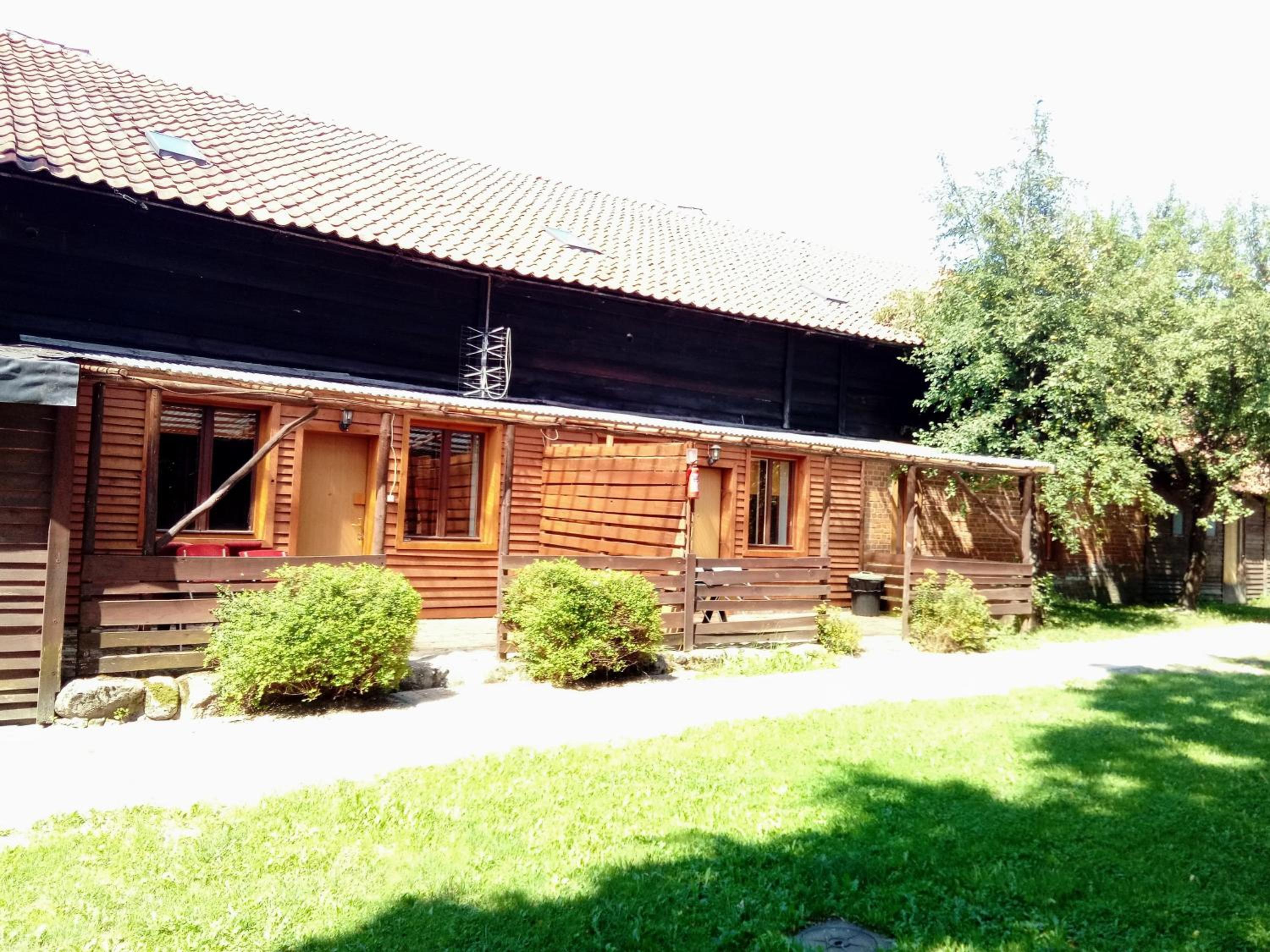 Photo 19