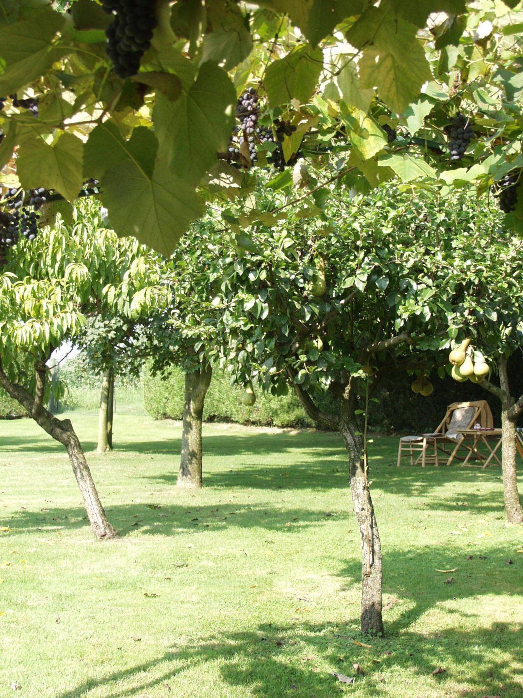 B&B Casa Manuelli