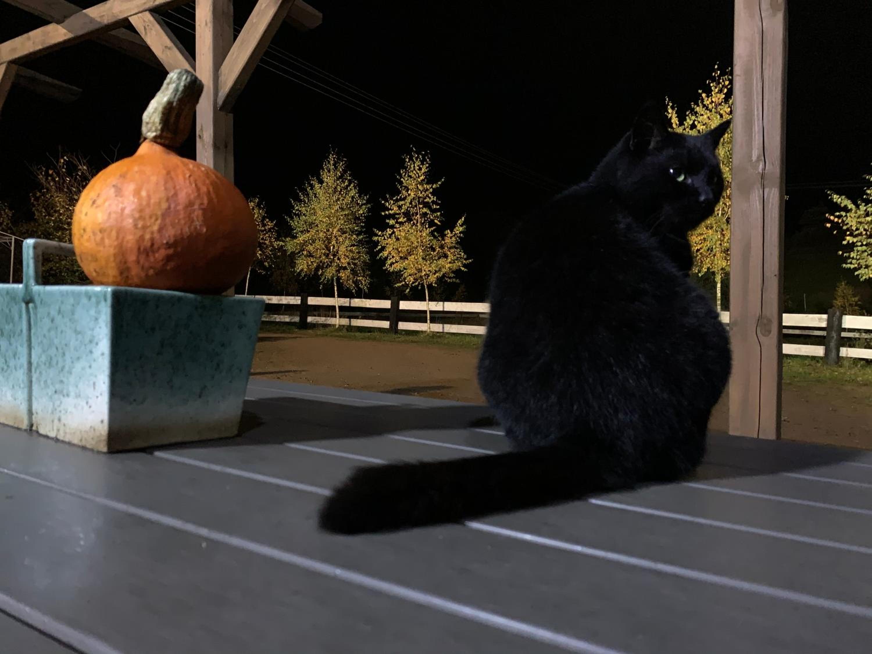 Photo 27