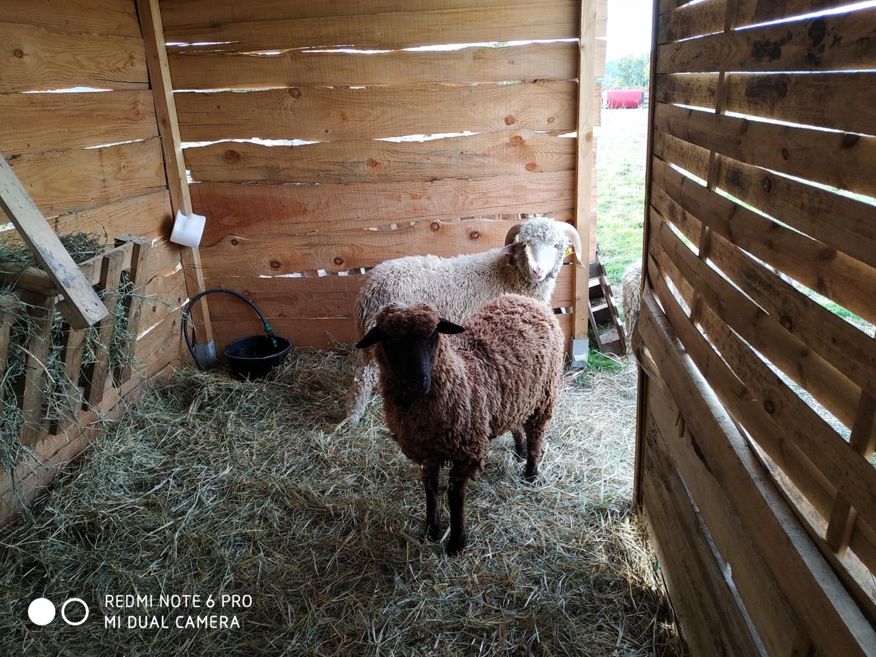 Gîte à la ferme
