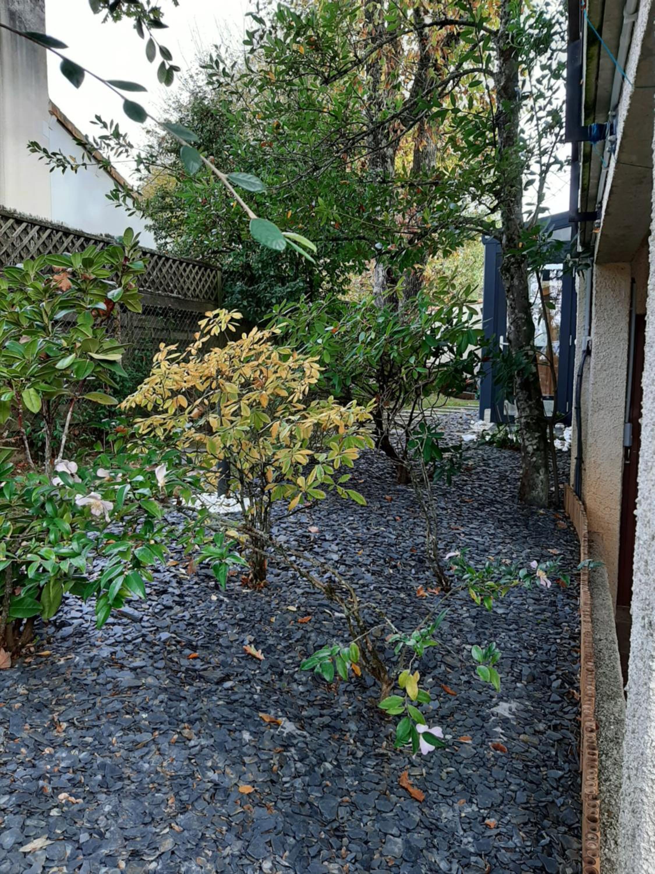Photo 27