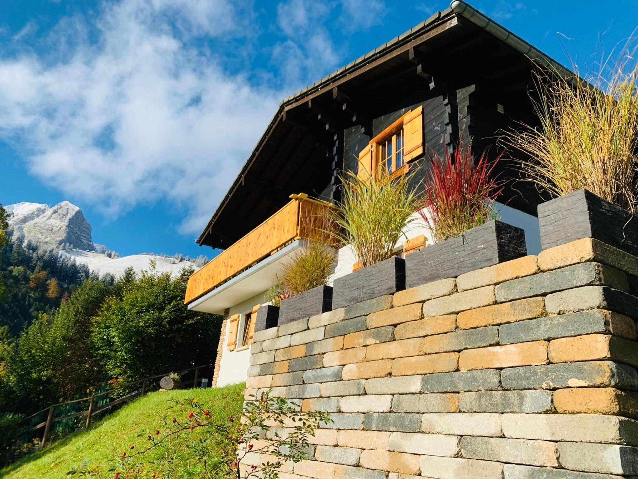 Chalet Edelweiss view 4