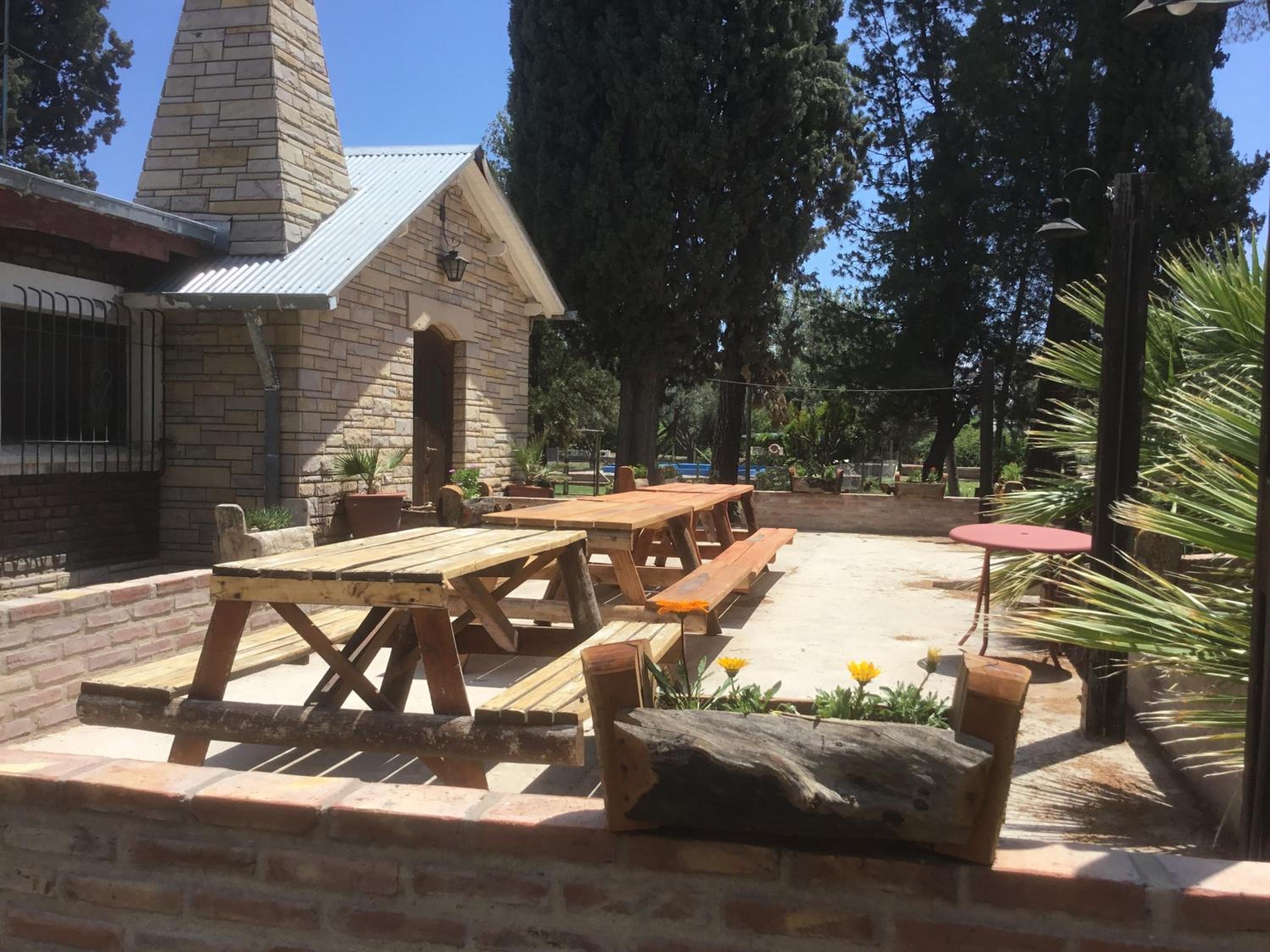 Tree House Hostel