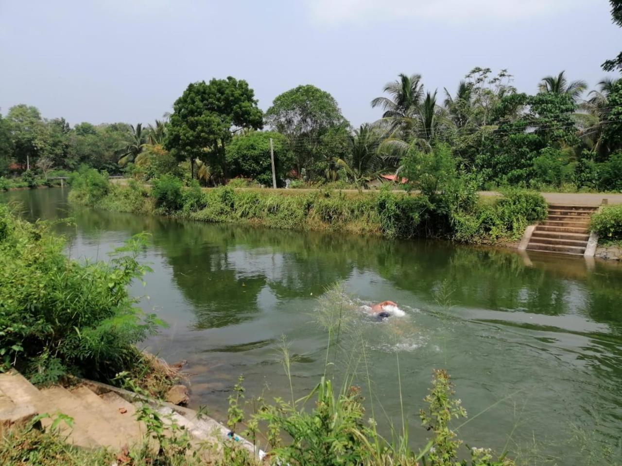 Photo 46