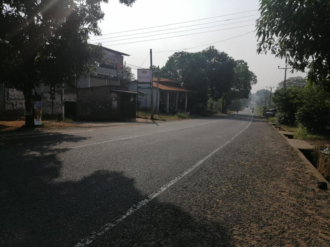 Photo 21