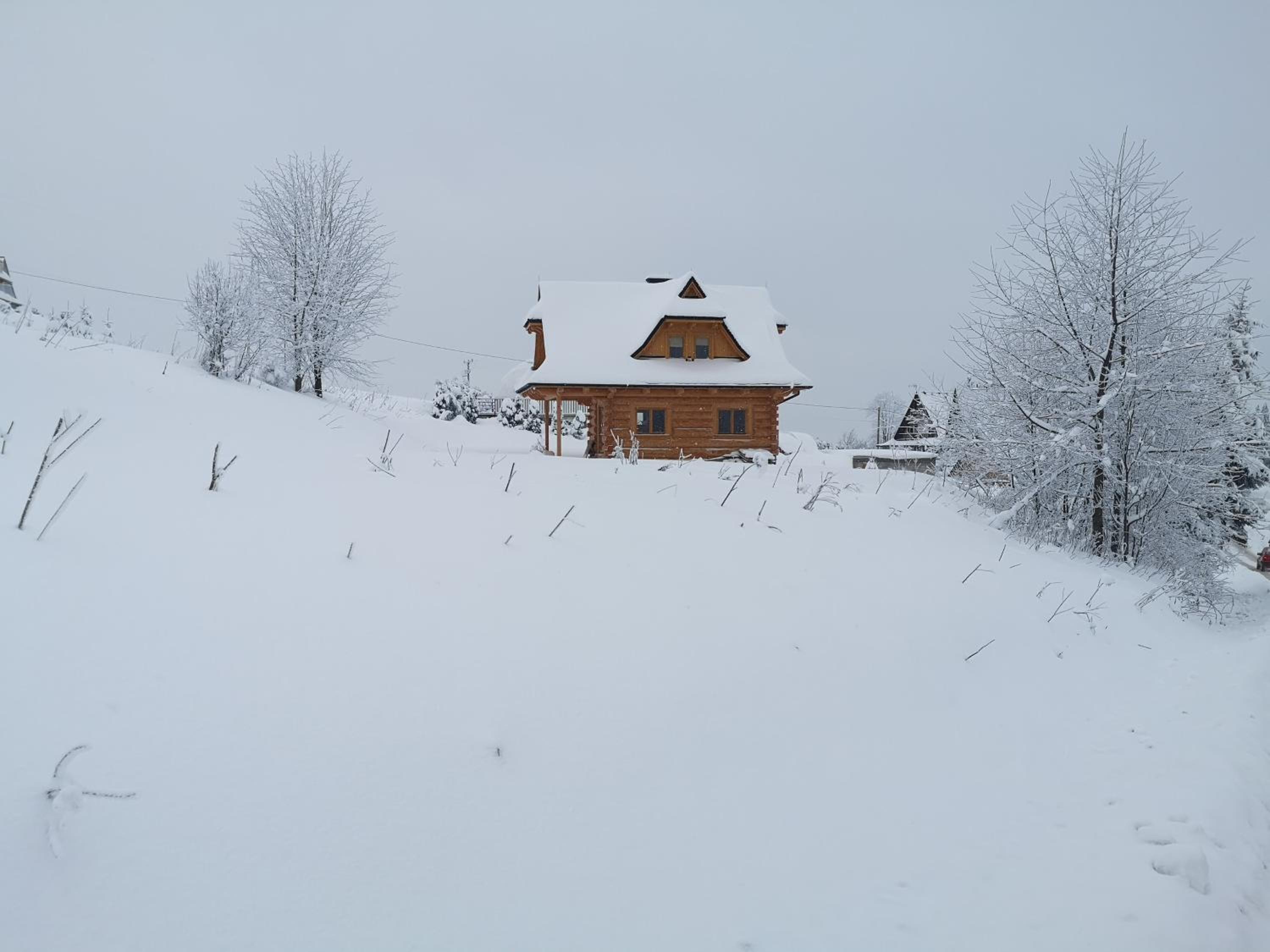 Łosiowa Chata Leśnica Gliczarów Górny view 5