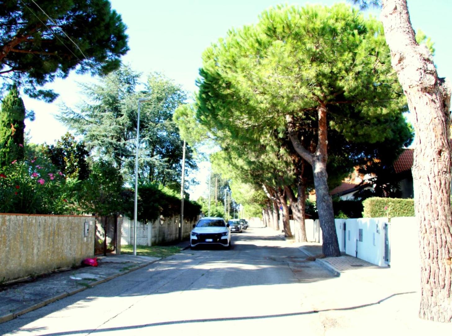 Photo 39