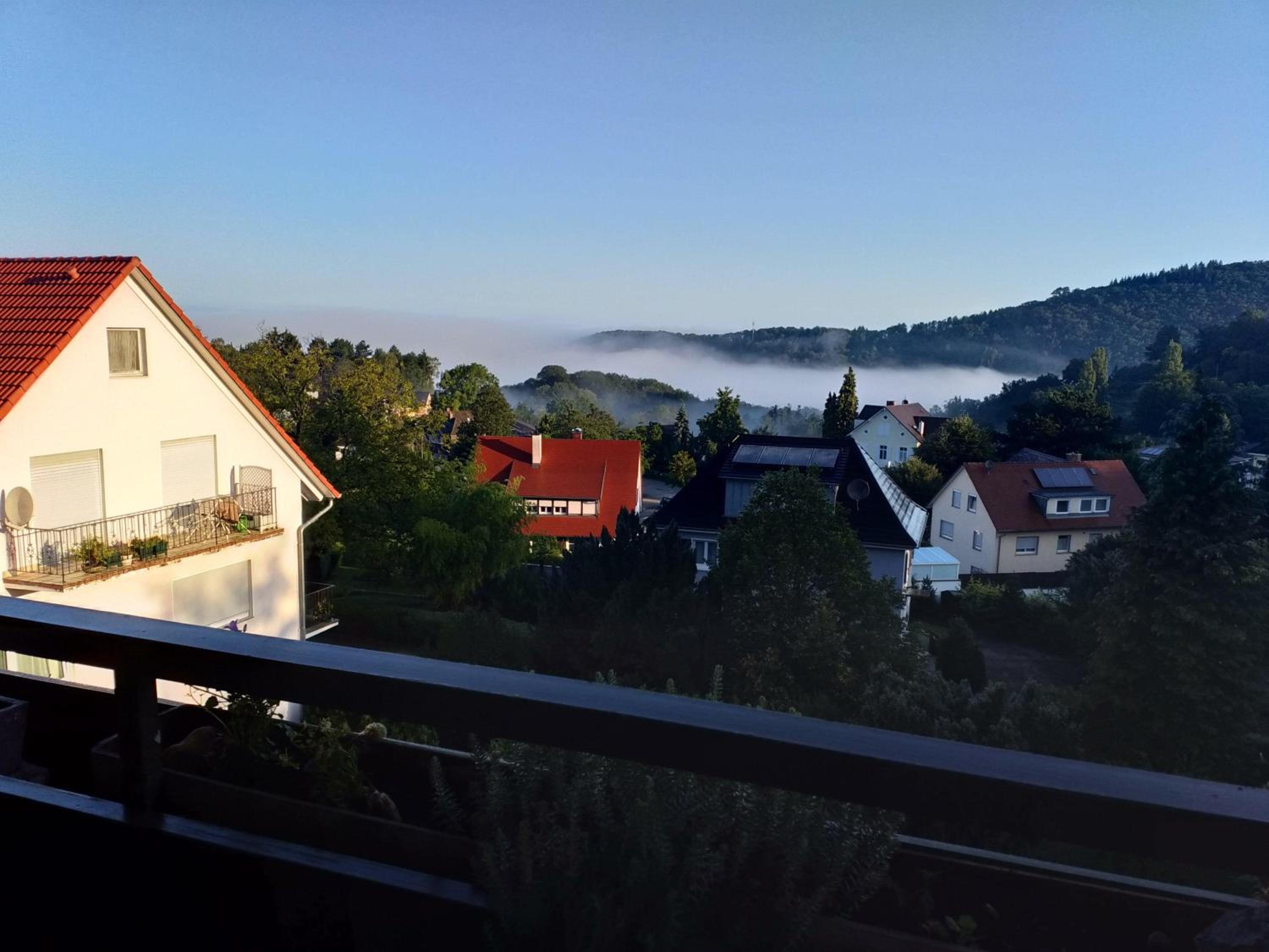 Appartment Vogesen view 4