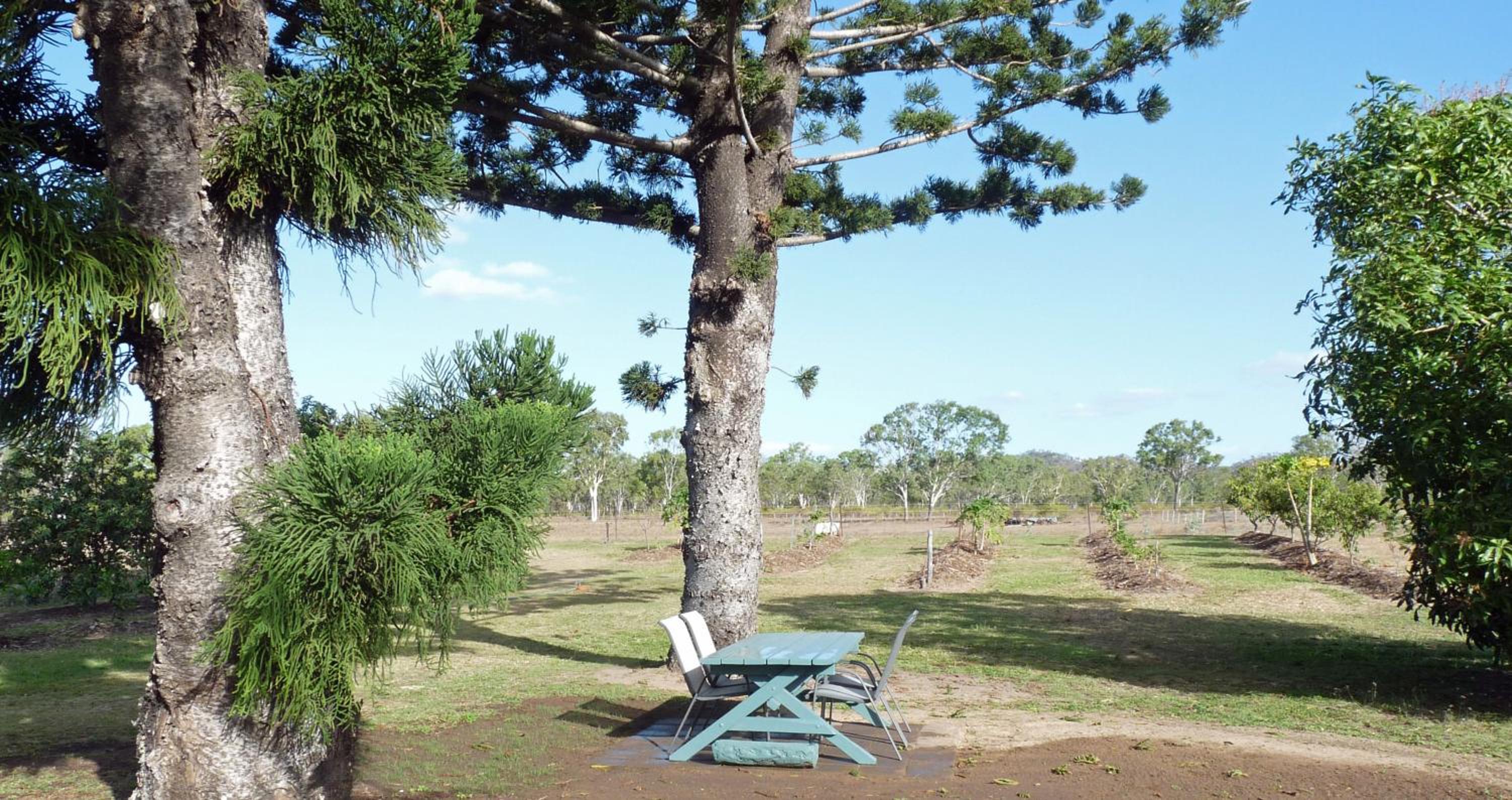 Elliot River Retreat - Pet Friendly