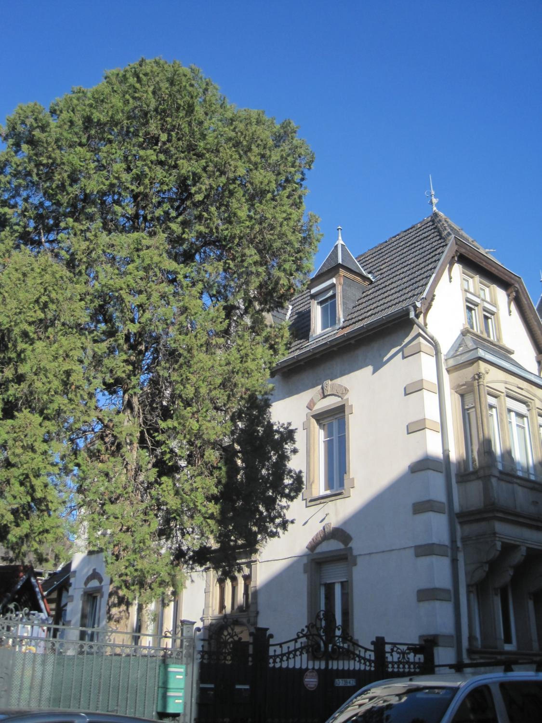 Photo 32