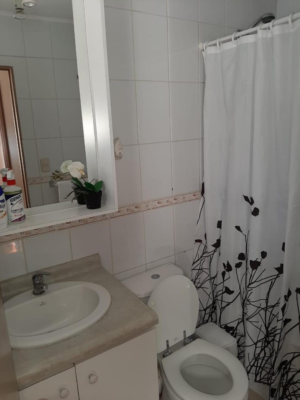 Condominio Reino de Italia, Serena