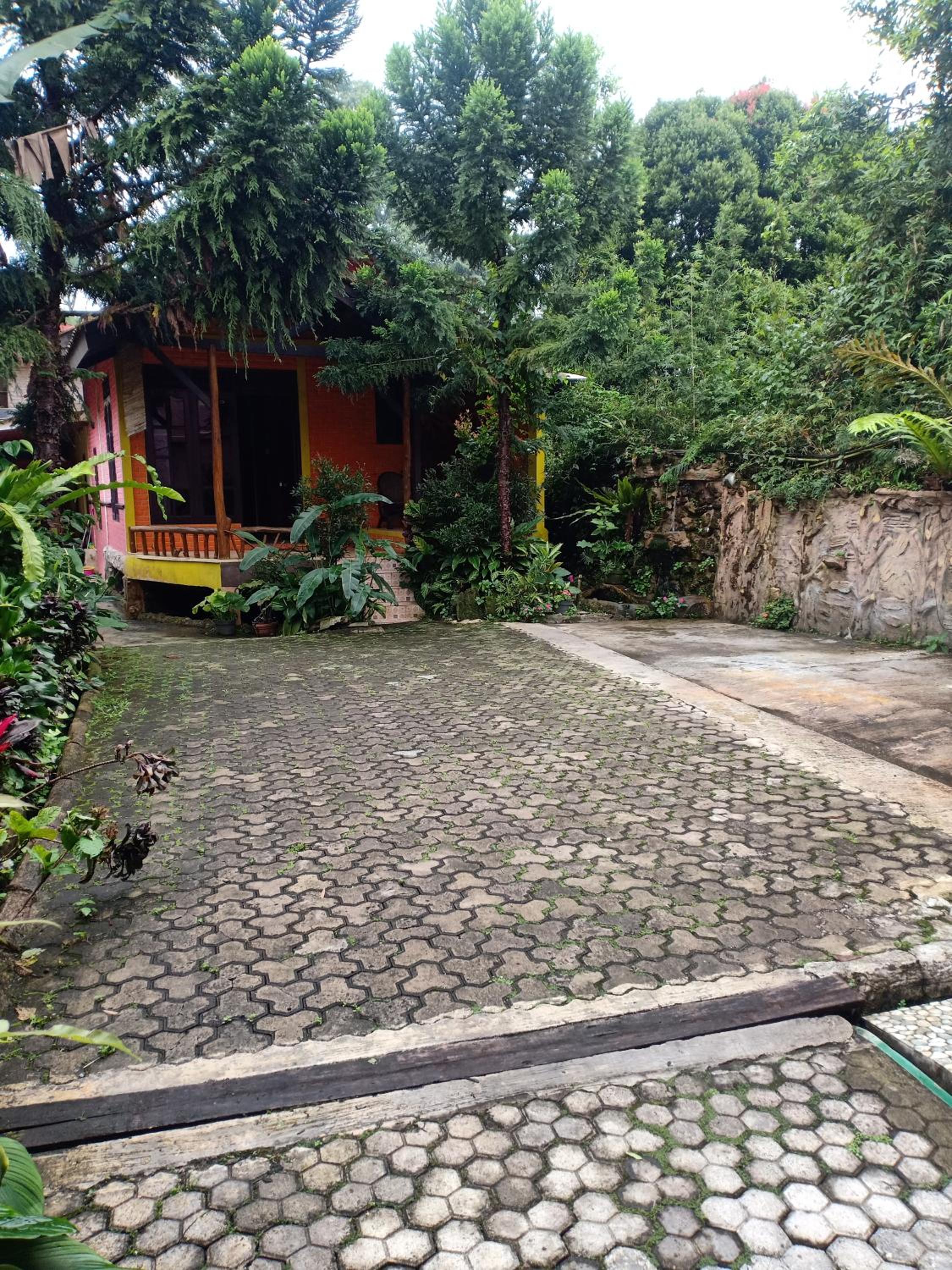 Photo 10