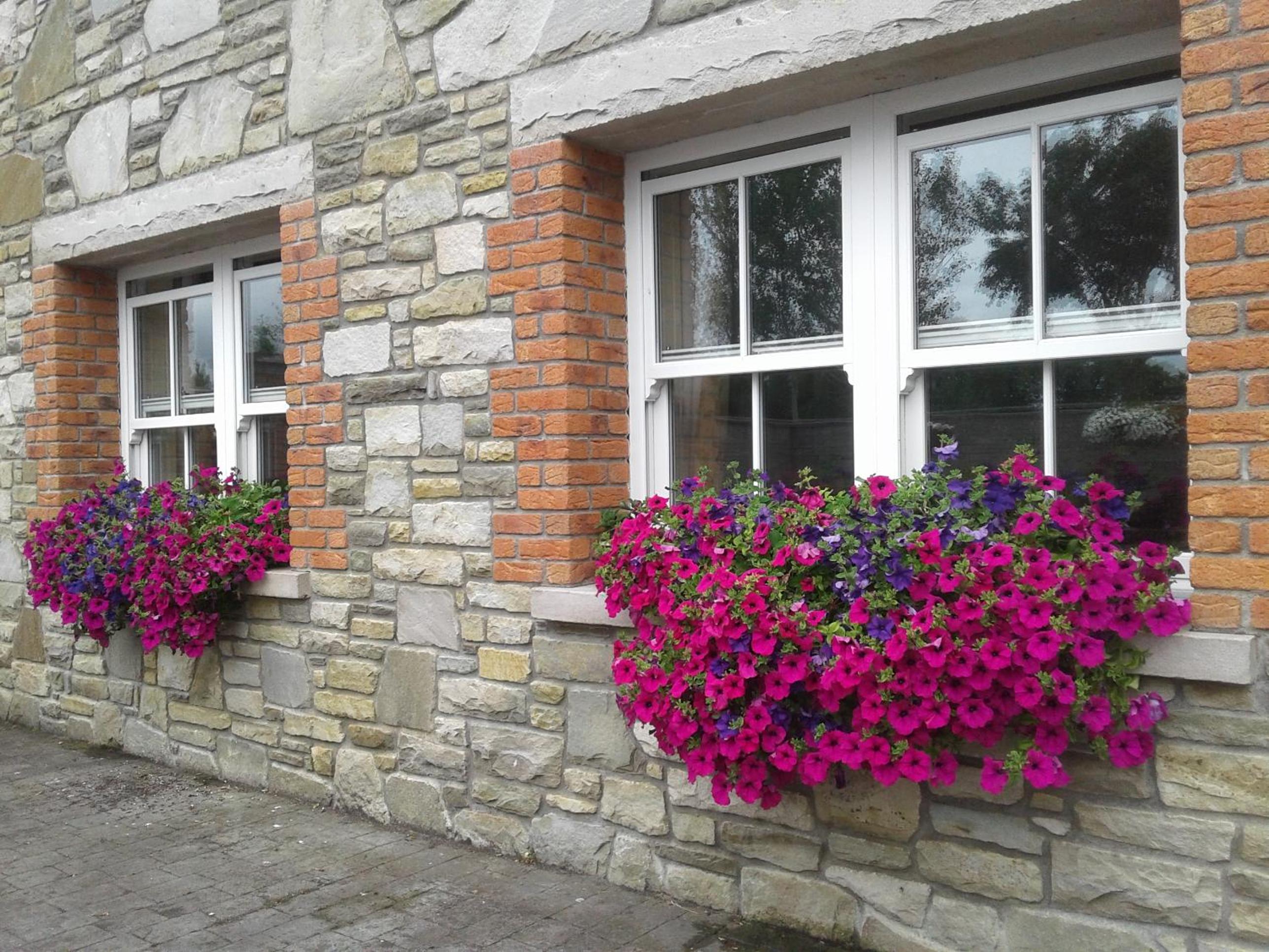 Devenish Lodge B&B