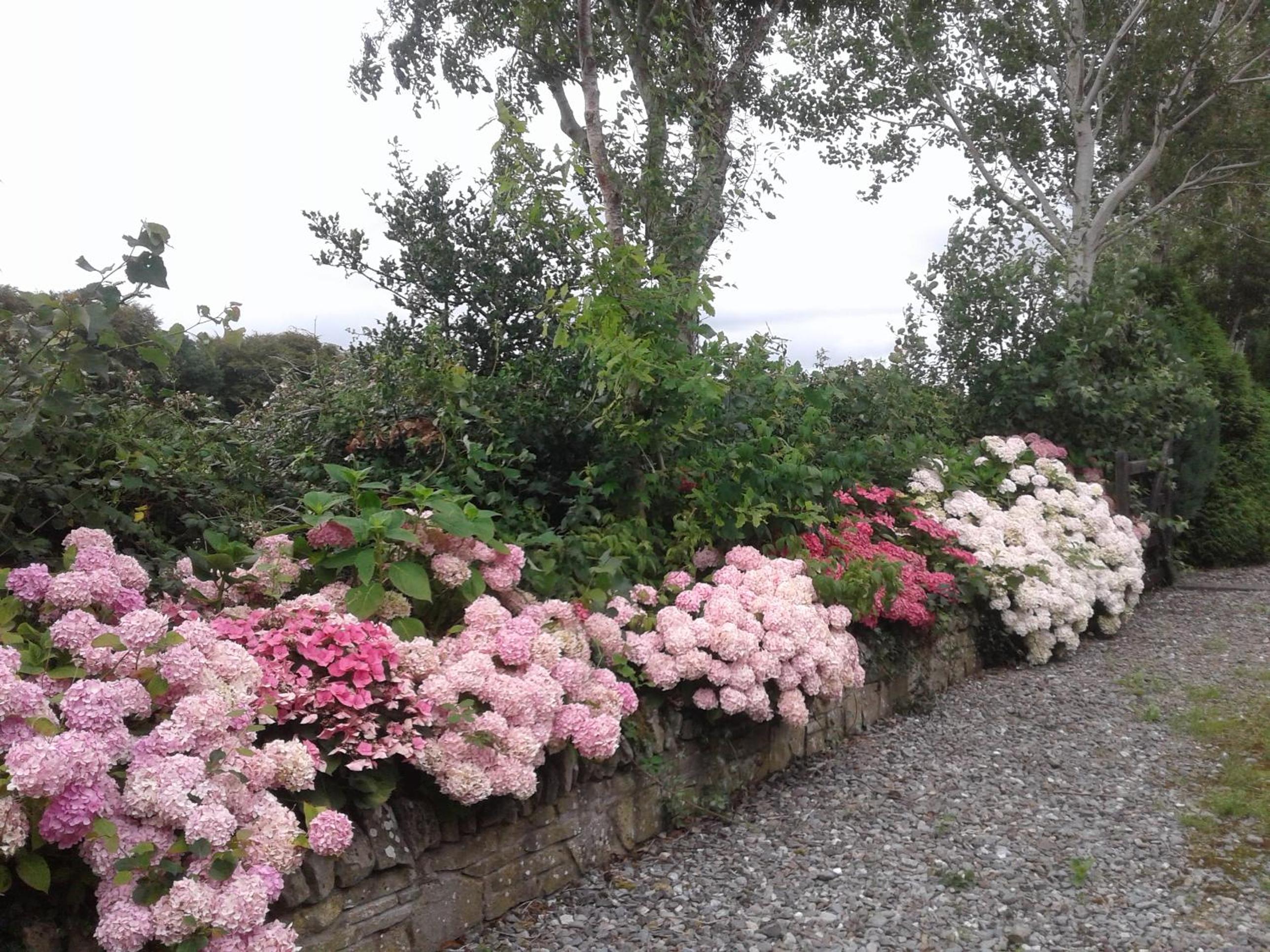 Hotel Devenish Lodge B&B