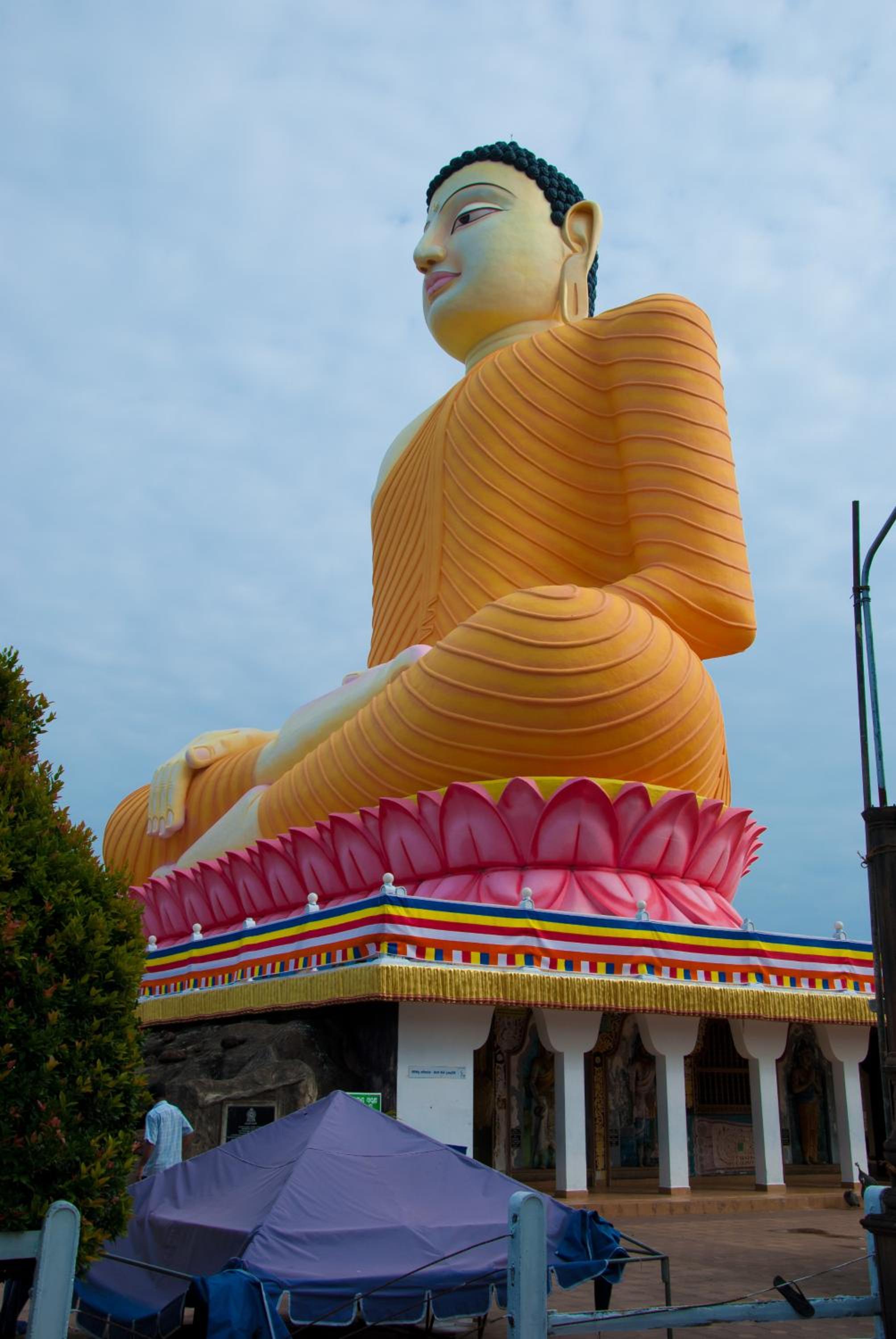 Photo 45