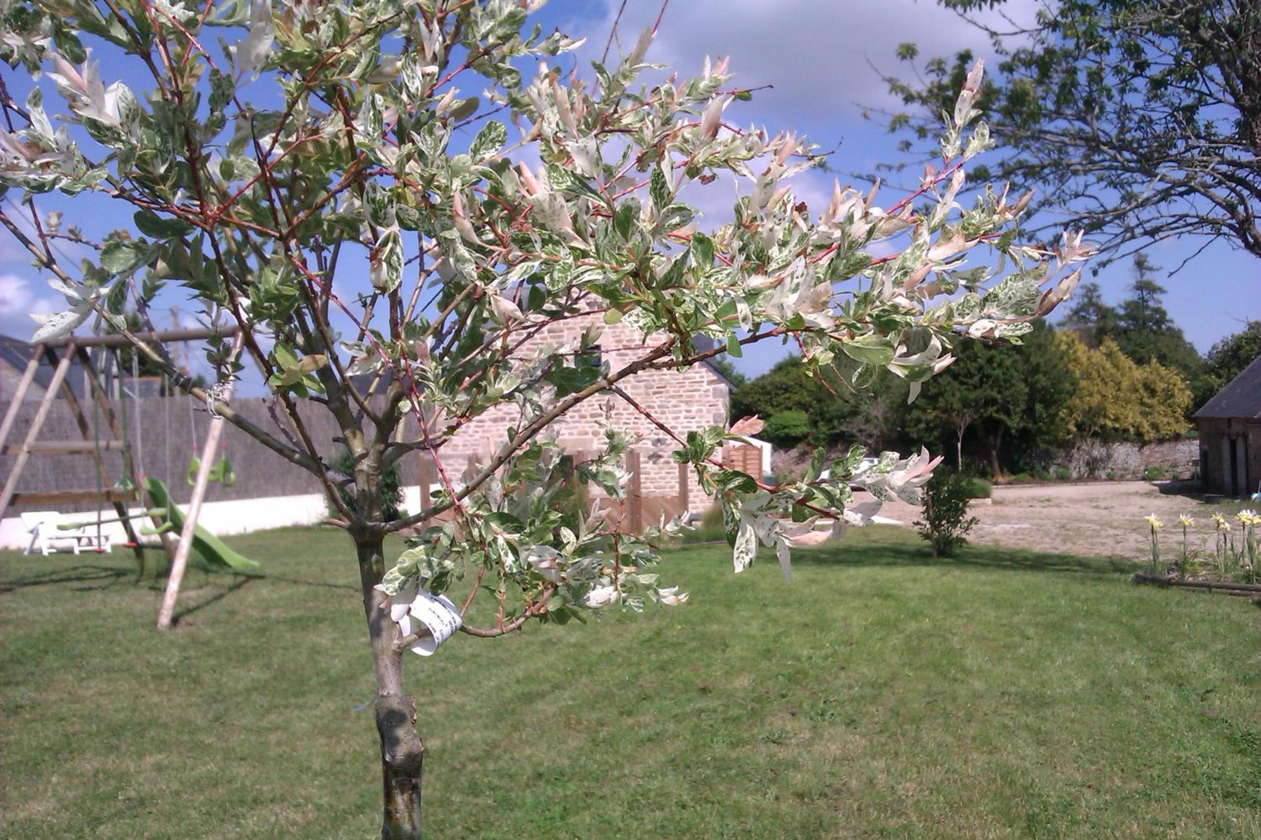 Les Gites de Kerdurod