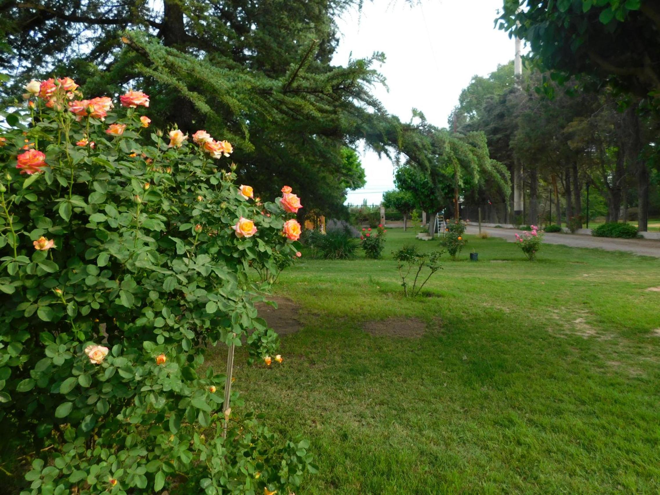 Cabañas Mirmar Mendoza