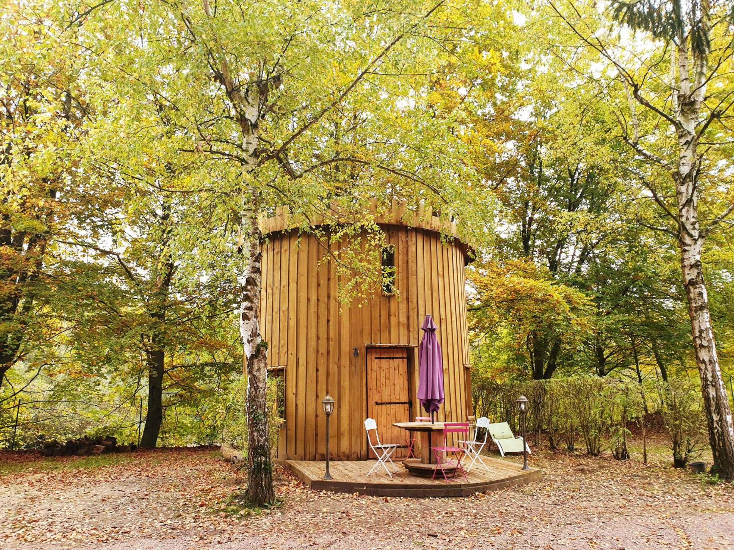 Le Coeur De La Foret view 2