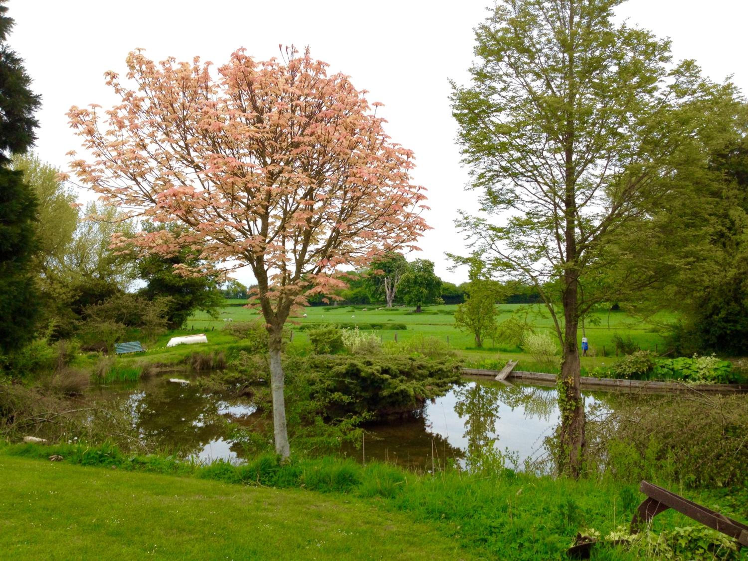 Lakeside Town Farm — 13