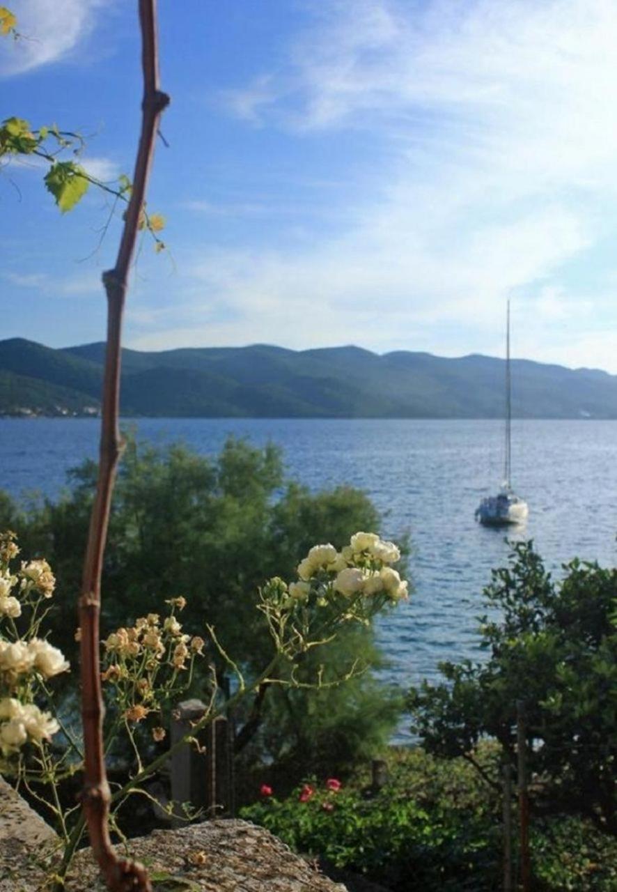 Apartments Nevenkos - 20 m from beach view 3