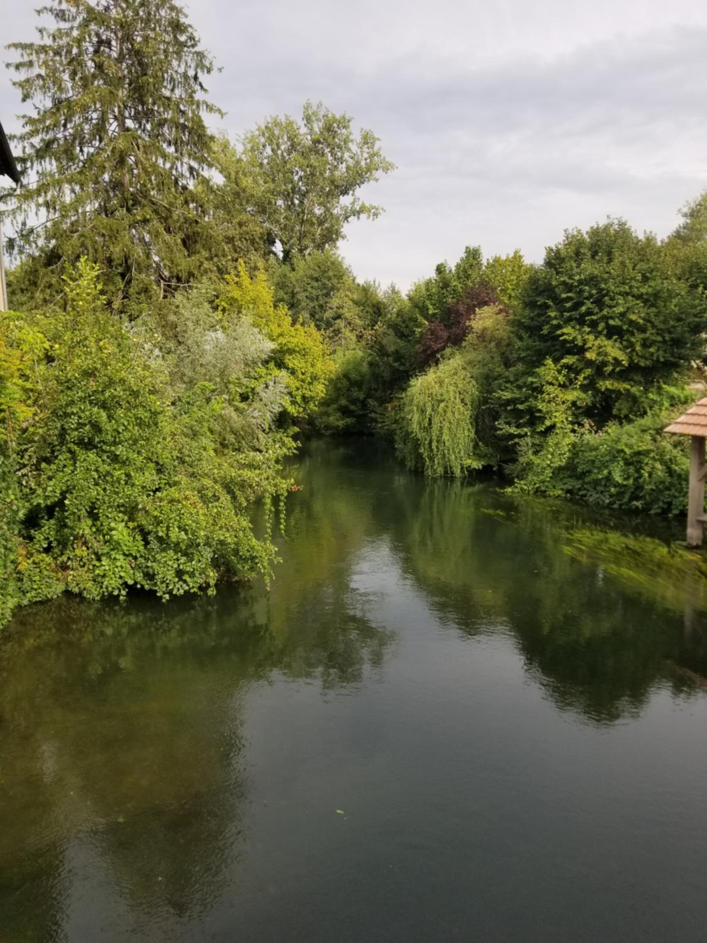 chambre d'hôtes de charme, un temps en forêt view 3