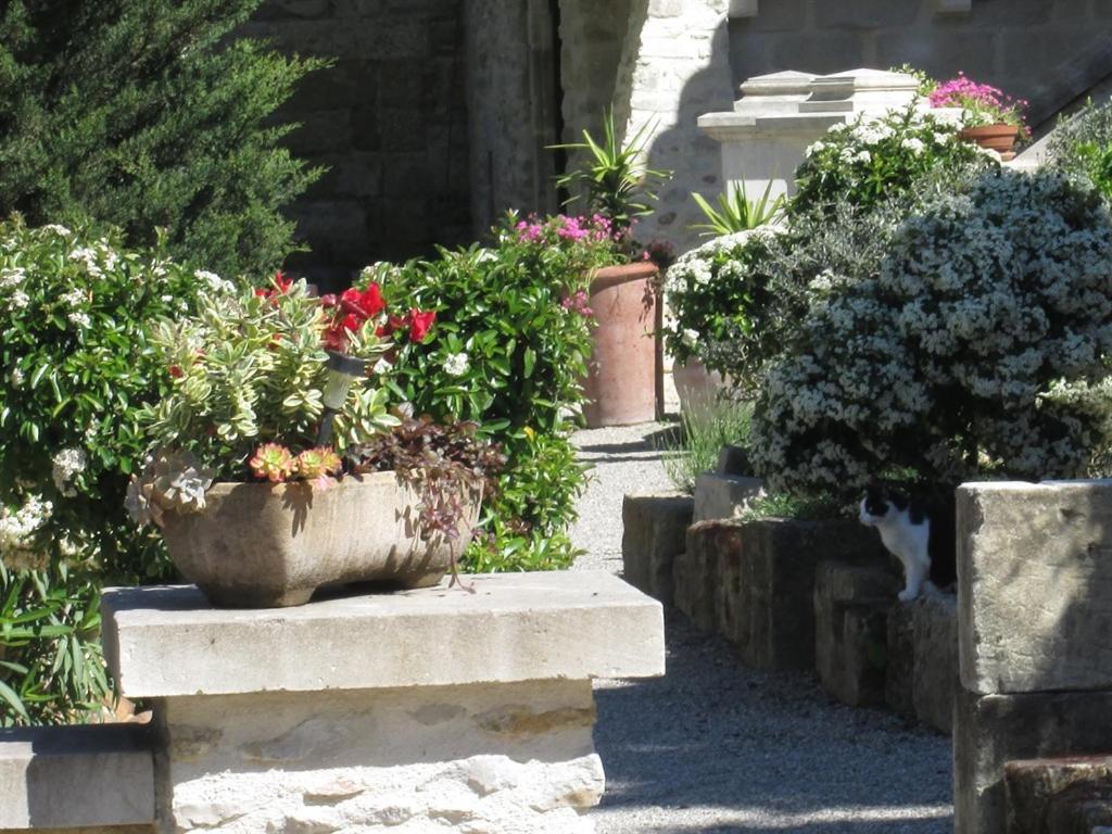 Photo 36