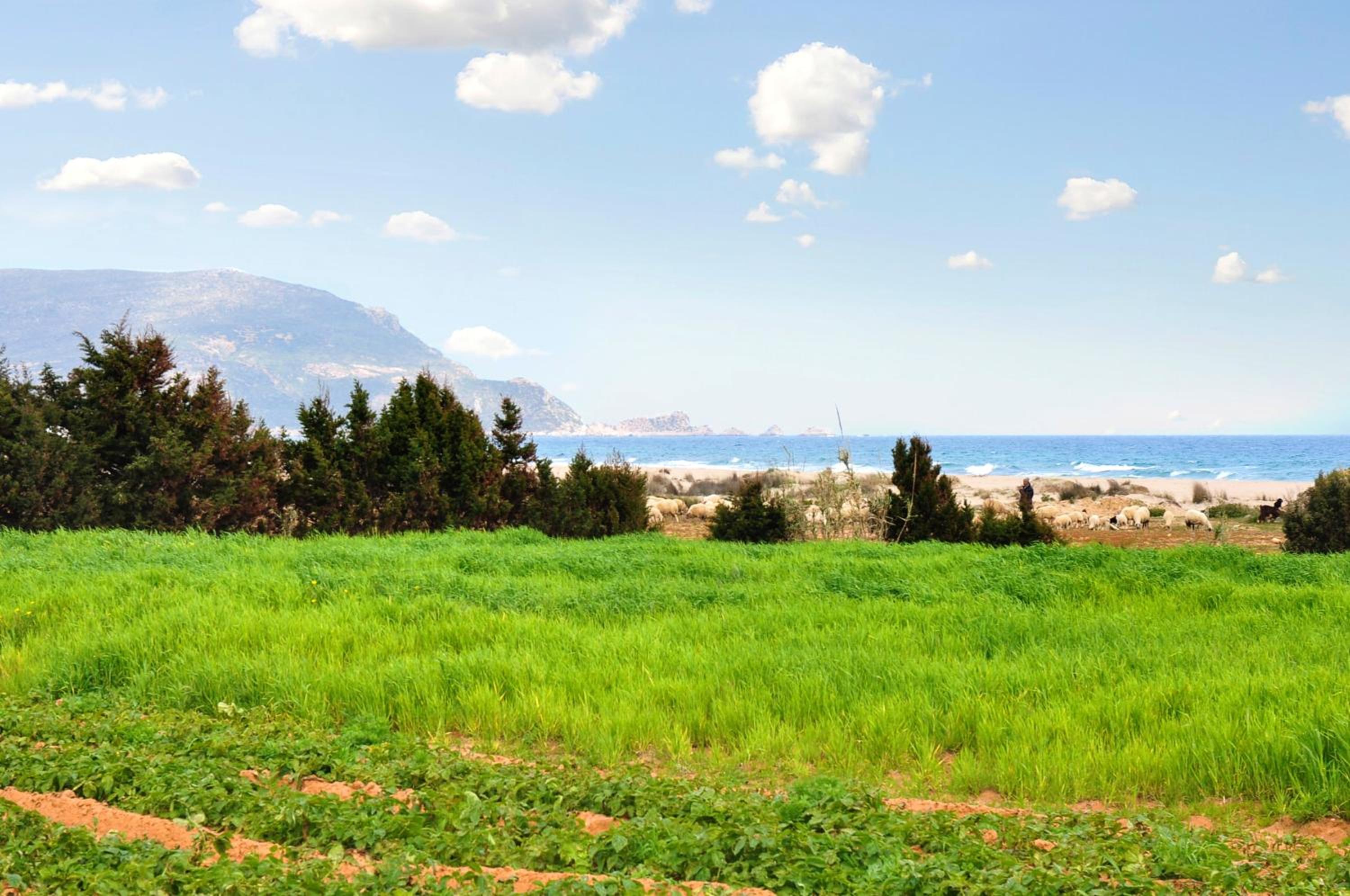 4 bedrooms villa with sea view enclosed garden and wifi at Kelibia 4 km away from the beach