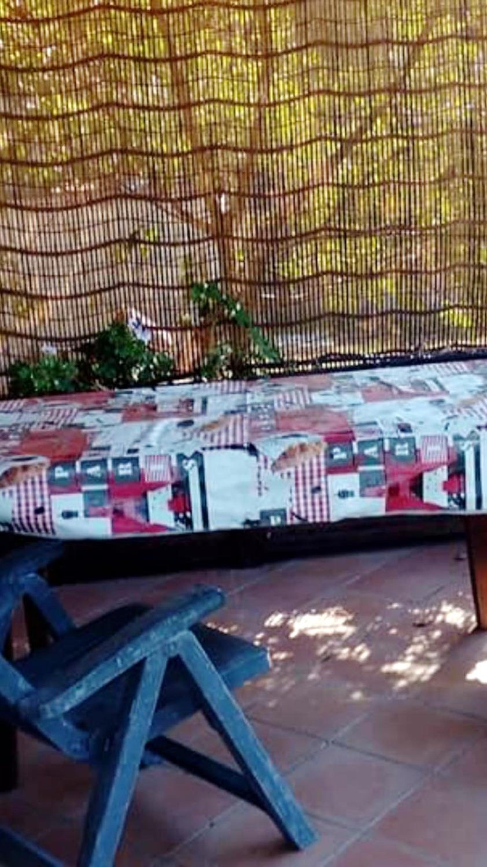 Comfortable house in Ascea + garden