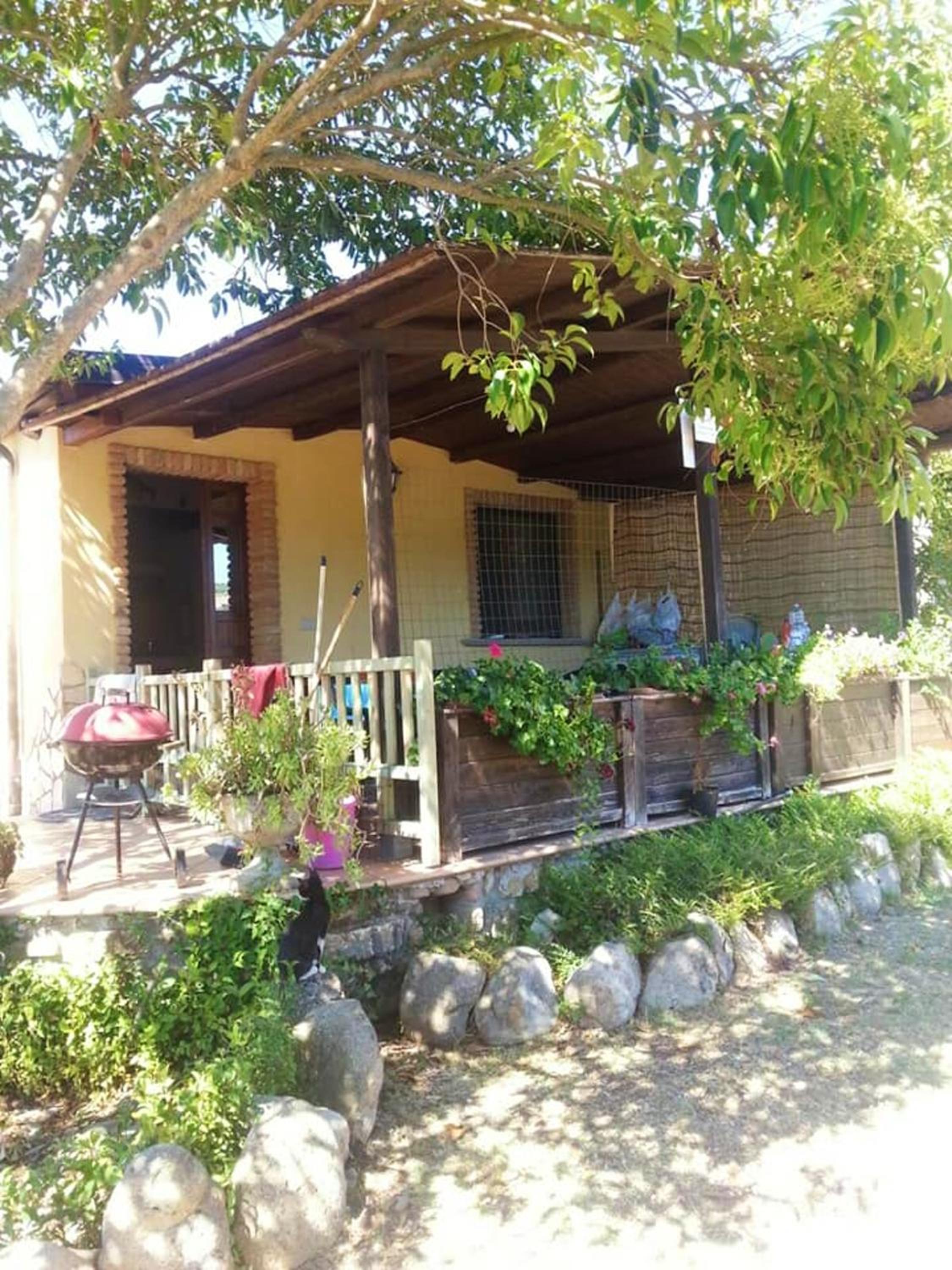 Comfortable house in Ascea + garden