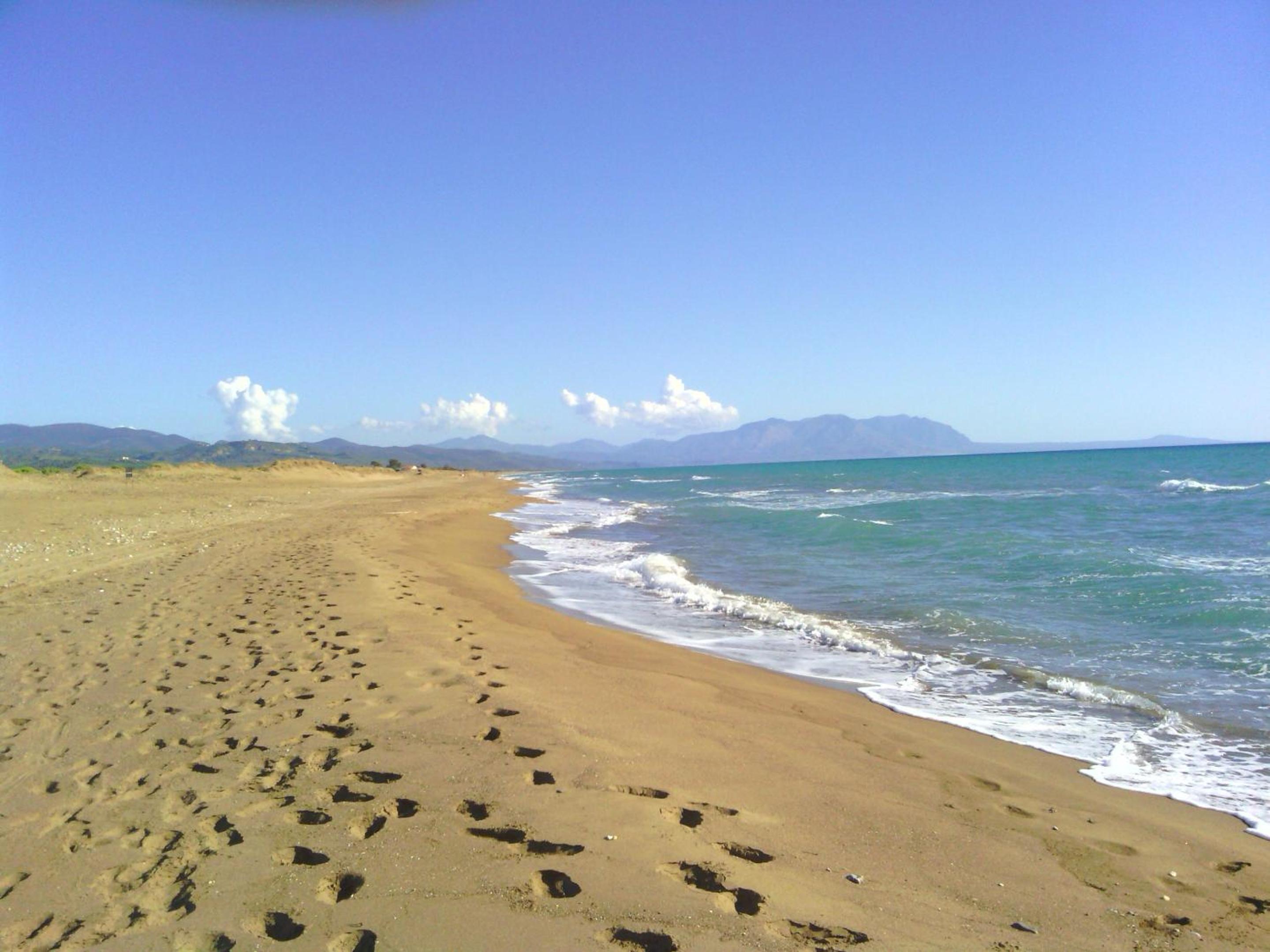 Photo 20