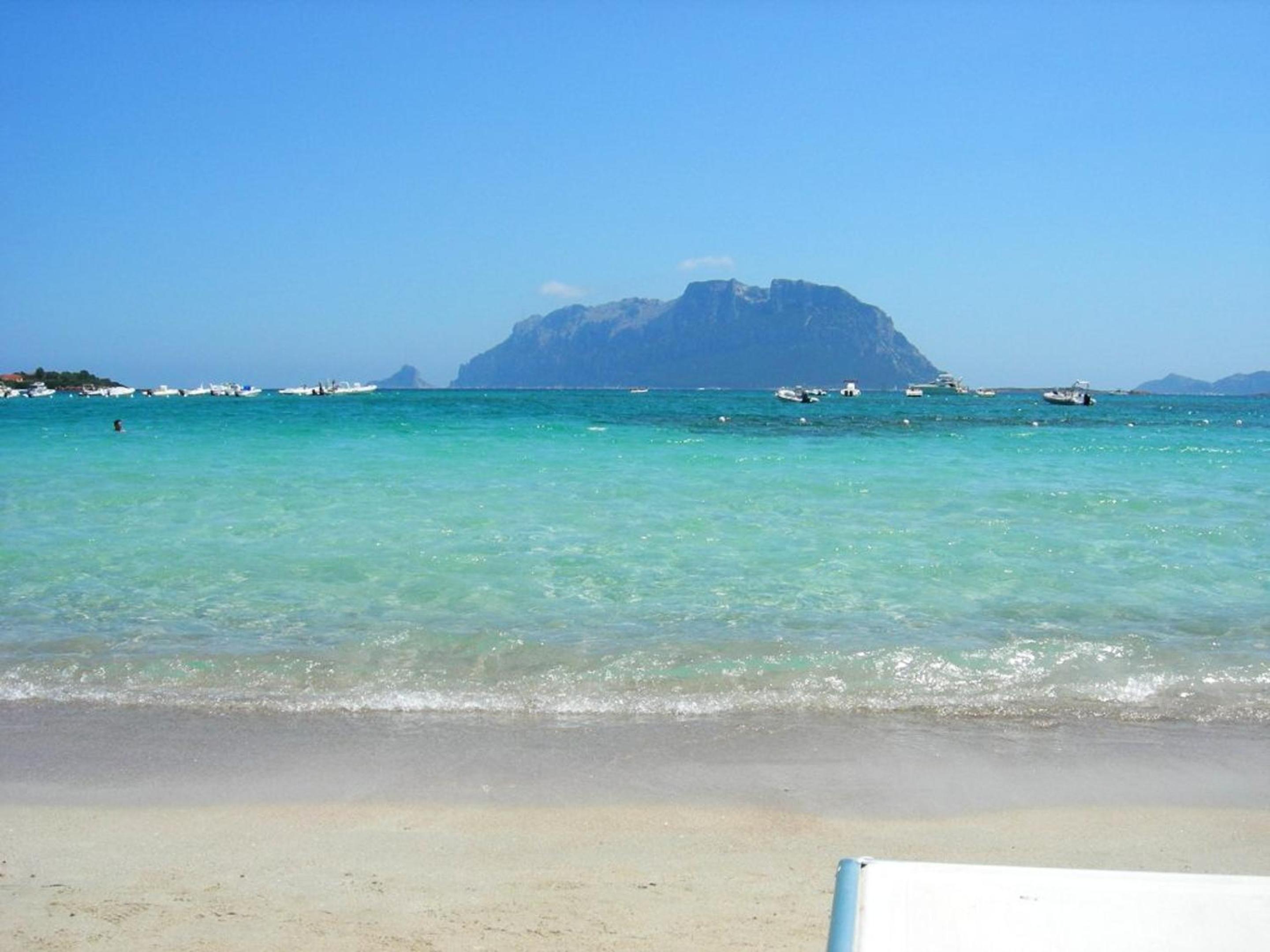 3 bedrooms appartement at Olbia 300 m away from the beach with sea view and enclosed garden
