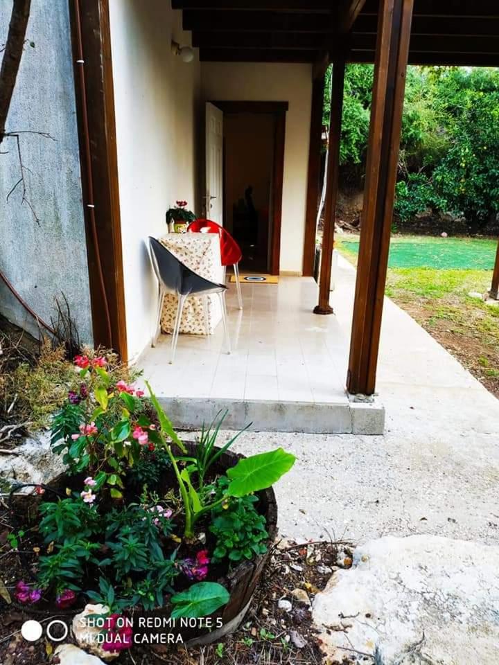 Hospitality in Veredim Village Mrs. Pepper