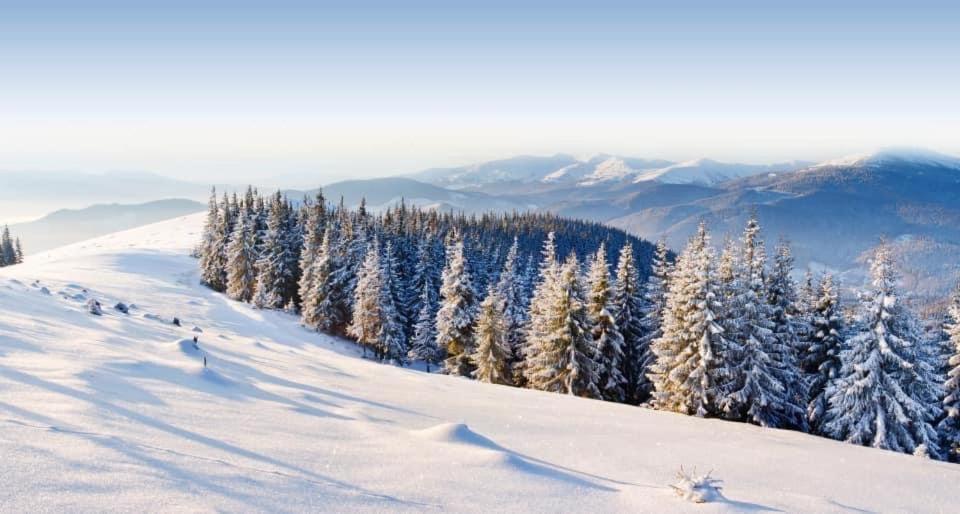 Chalet Trostian view 2