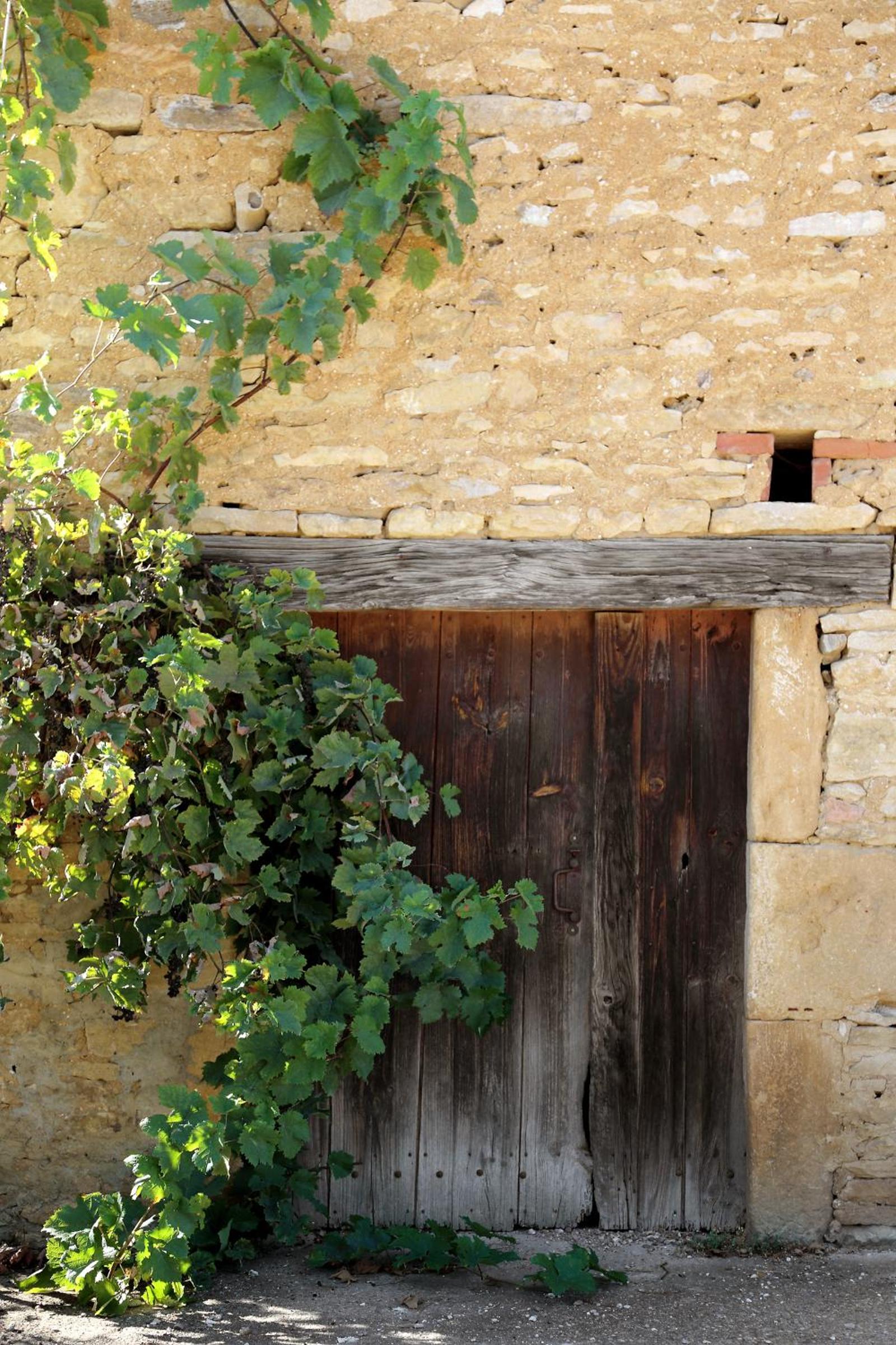 Domaine De La Licorne