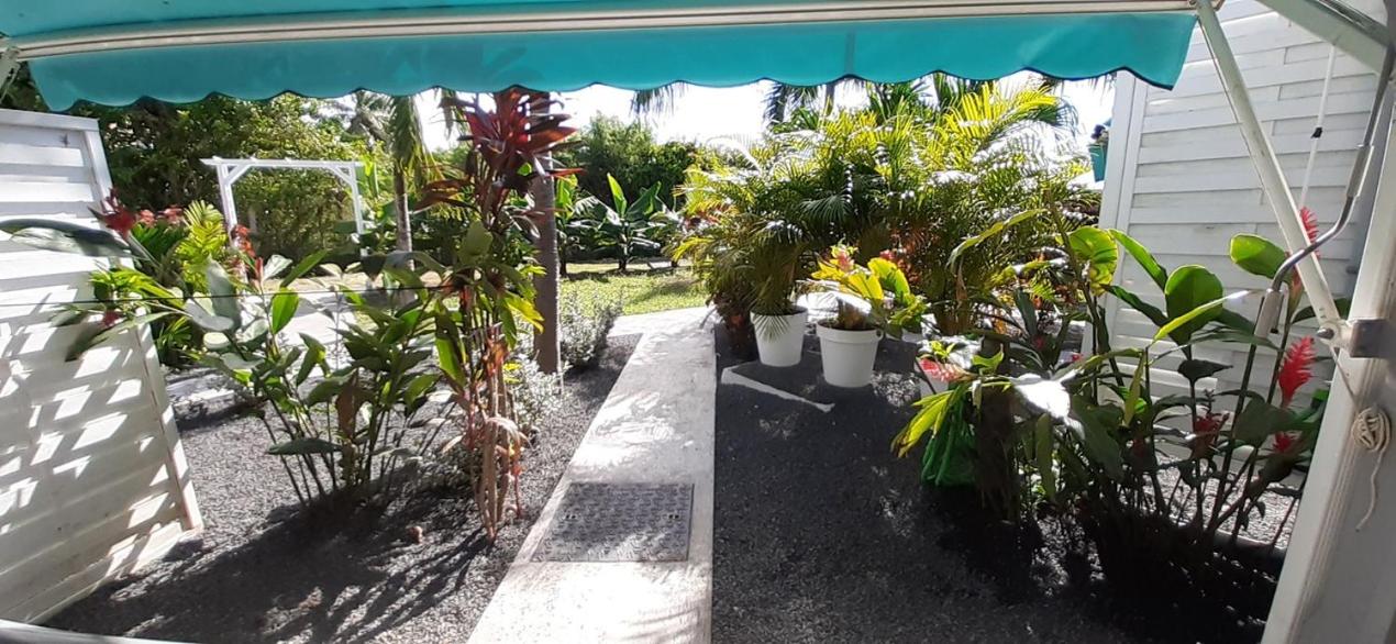Les Kaz de Guadeloupe