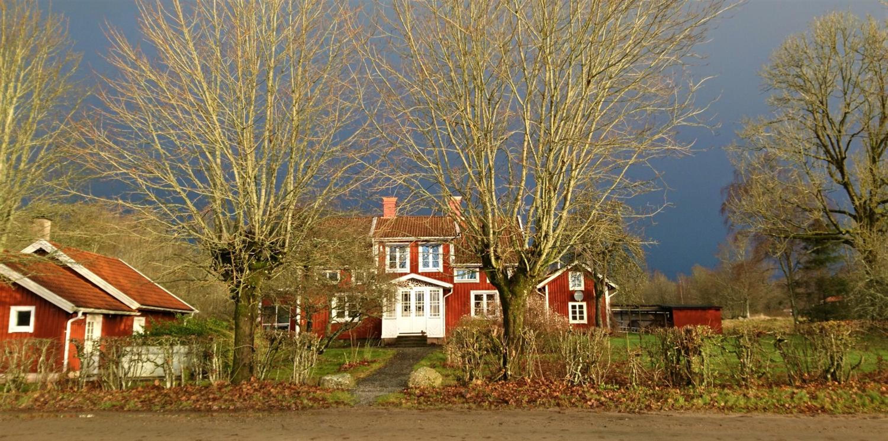 Photo 23