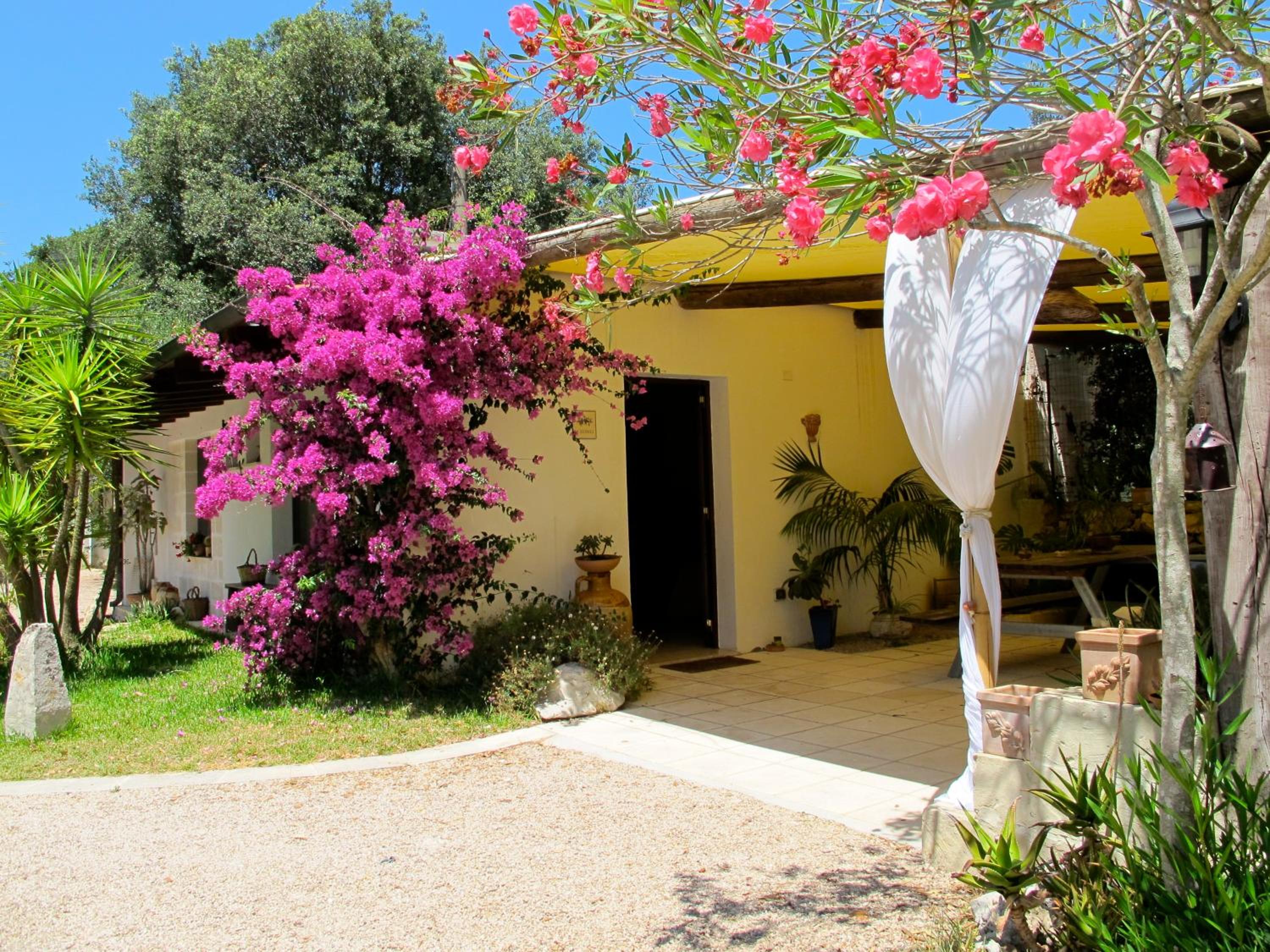 Alba Bed & Breakfast view 5