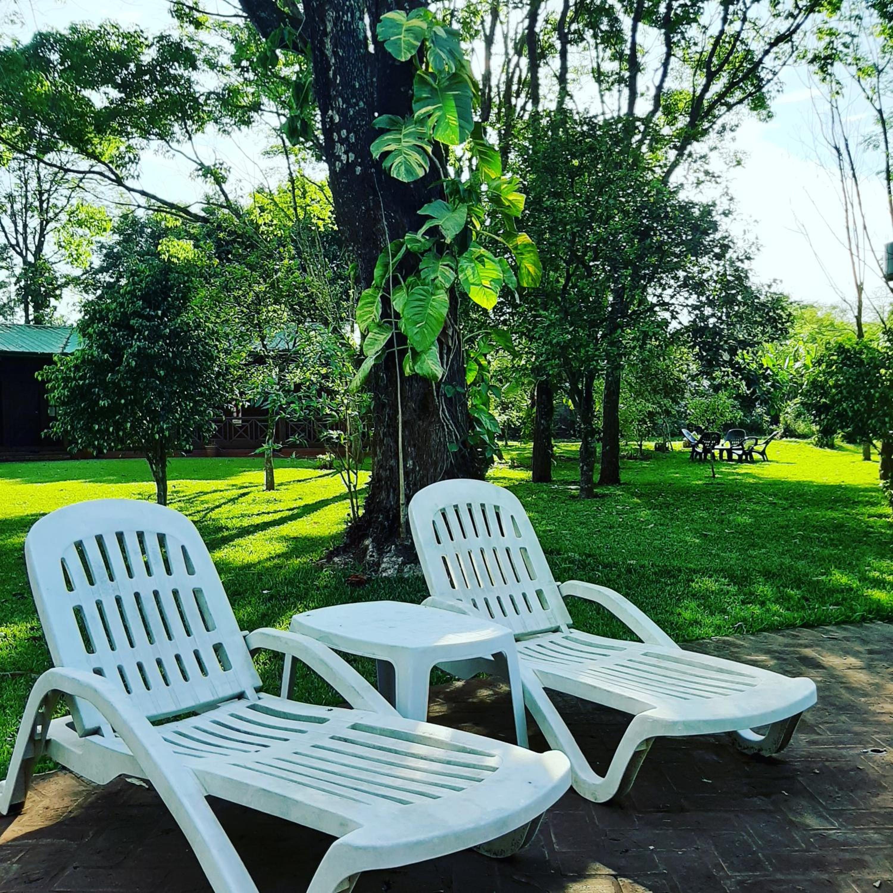 Toucan Lodge