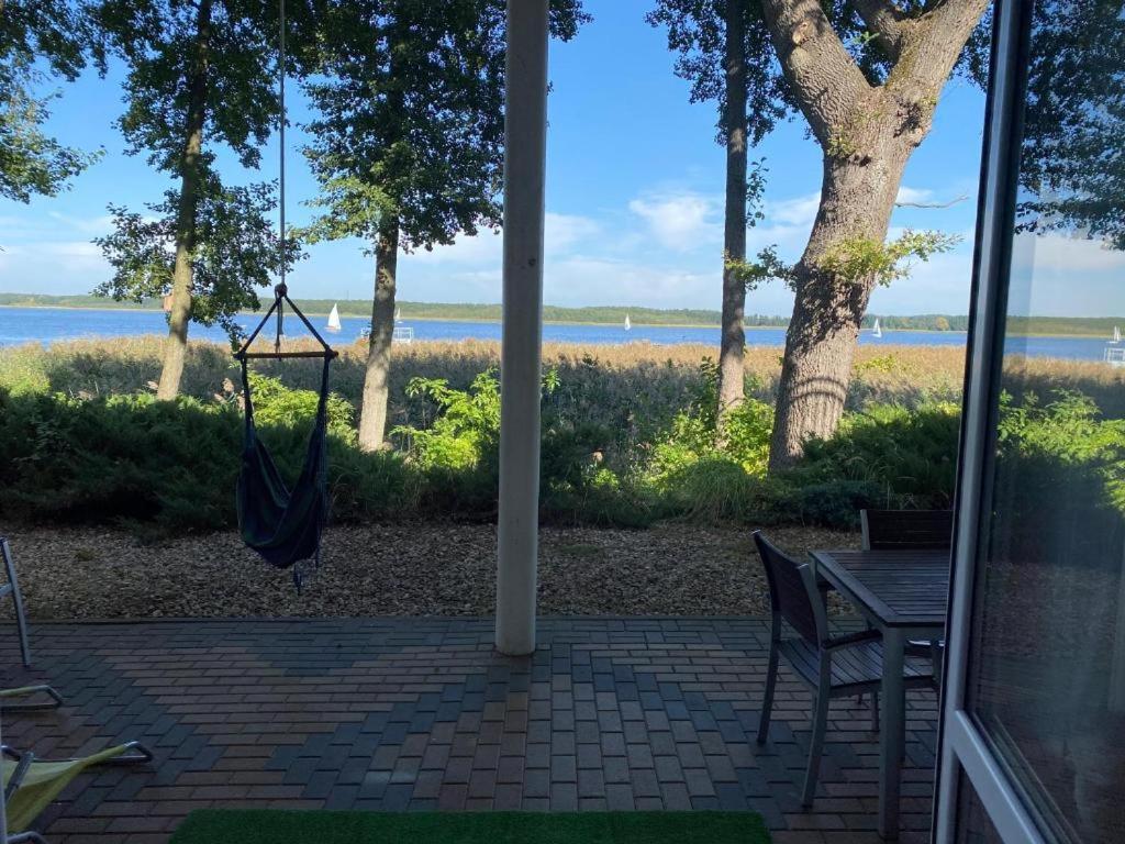 Apartament Wiewiórka