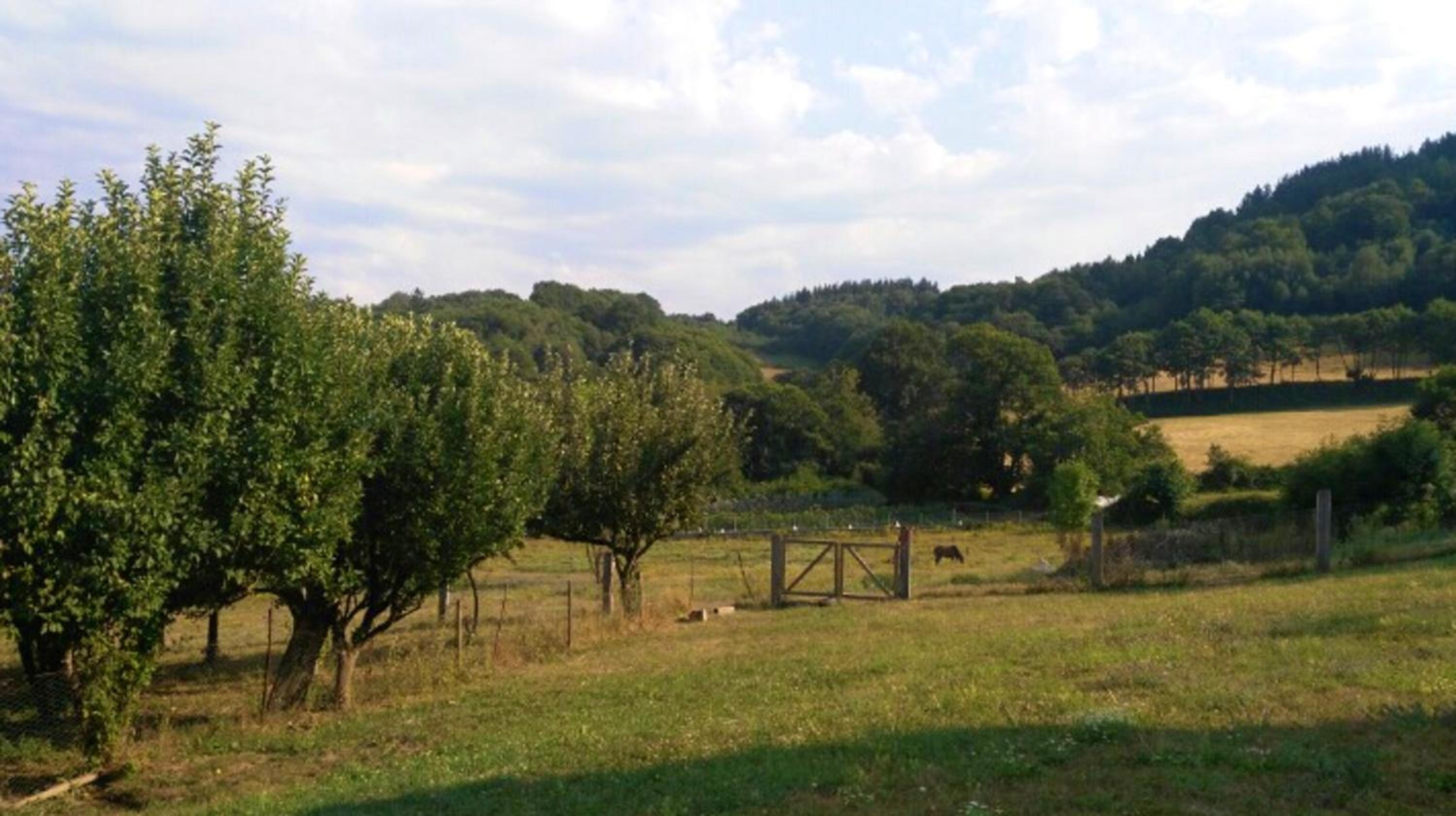 4 bedrooms house with furnished garden at Baralla