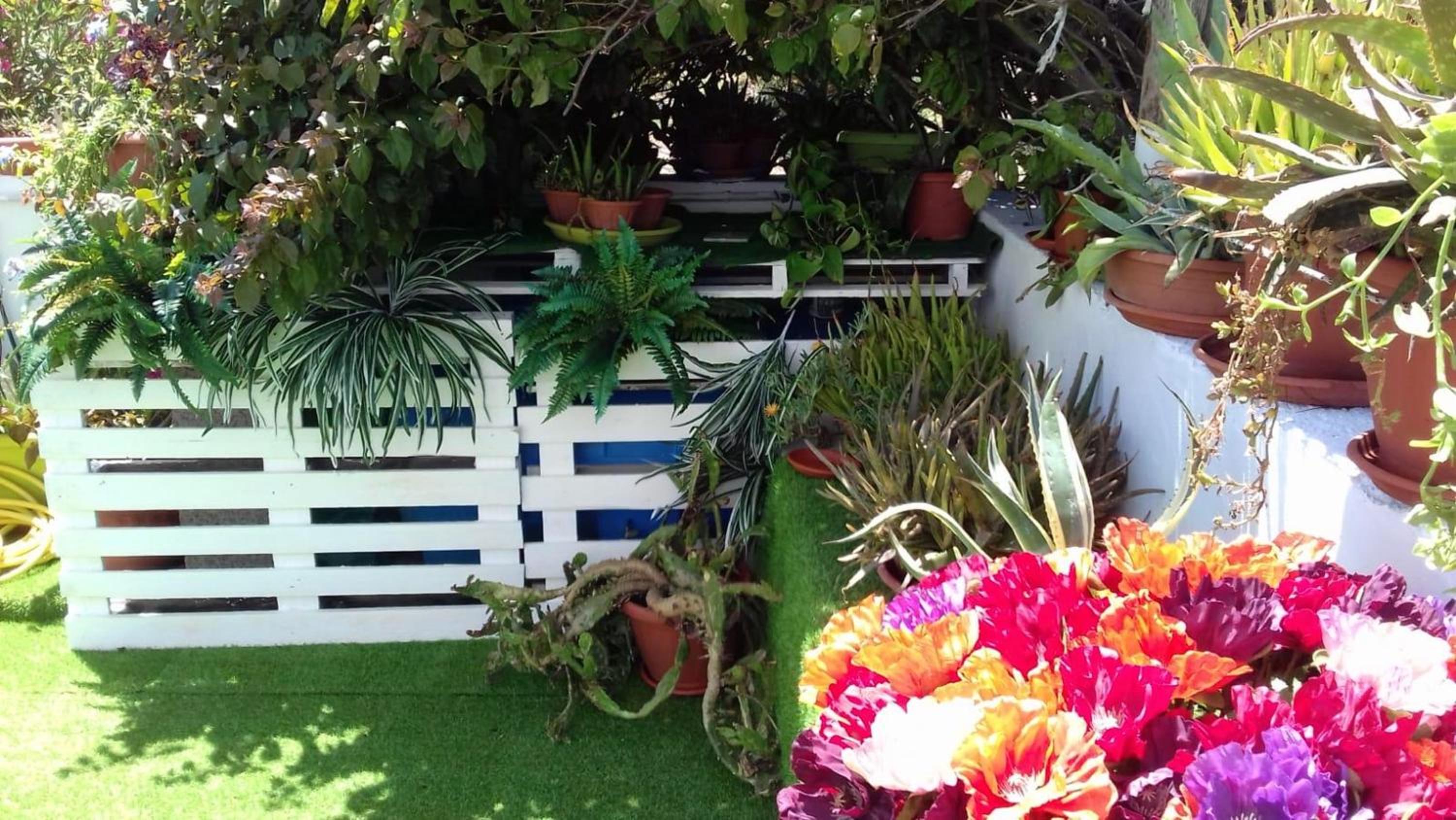 One bedroom appartement at Calasetta 50 m away from the beach with furnished terrace
