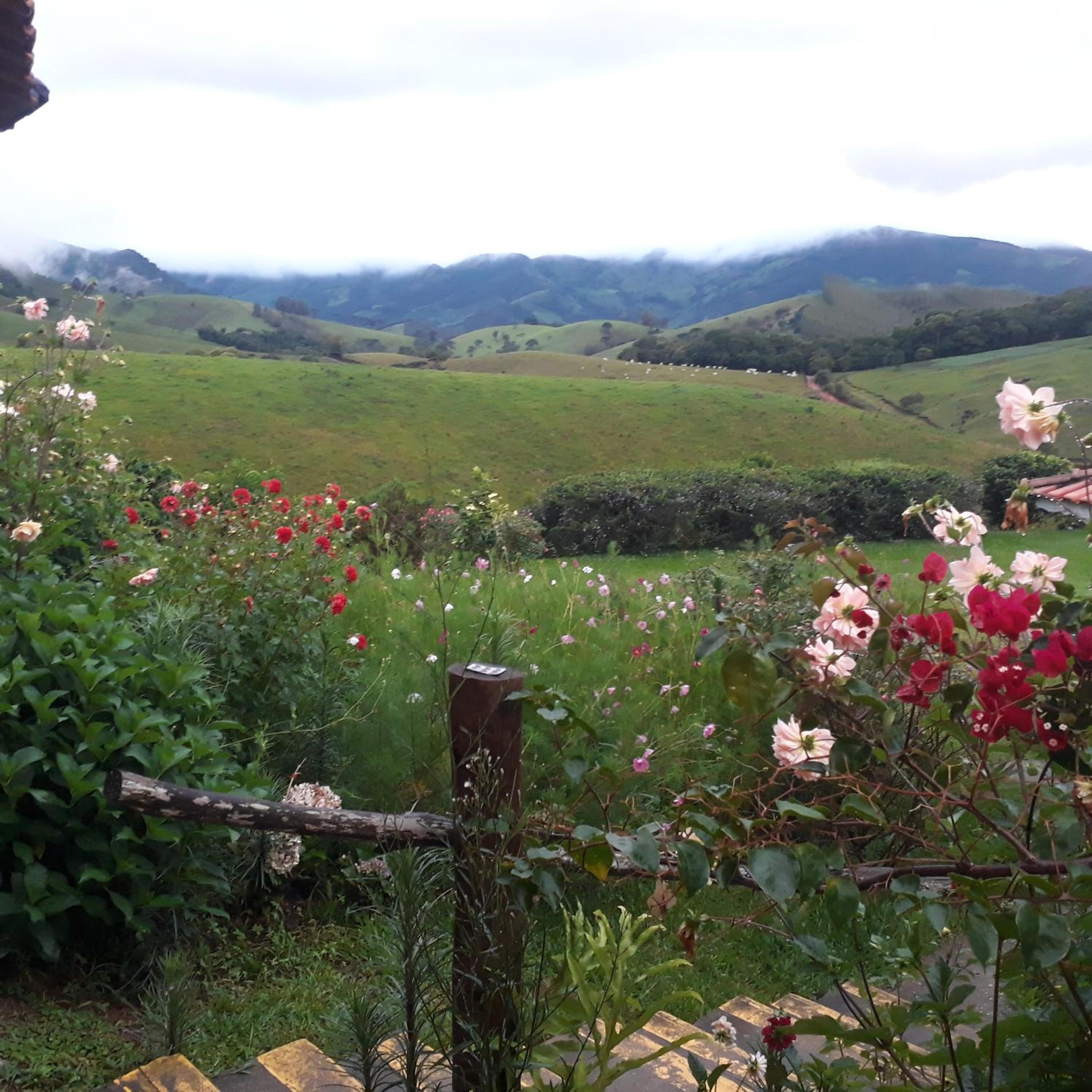 Sitio Pinhal